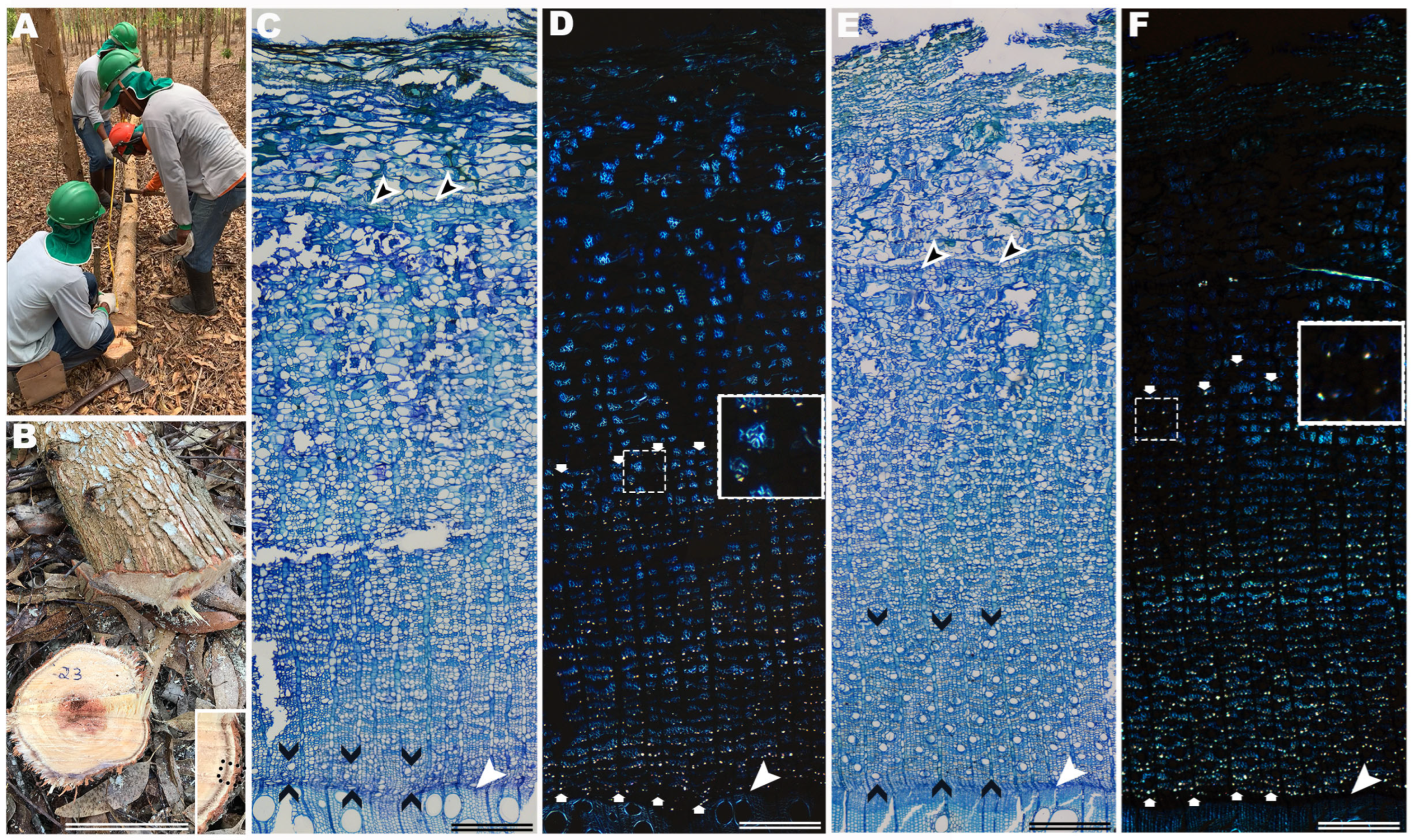 Ijpb 16 00124 g001 Ijpb 16 00124 g001