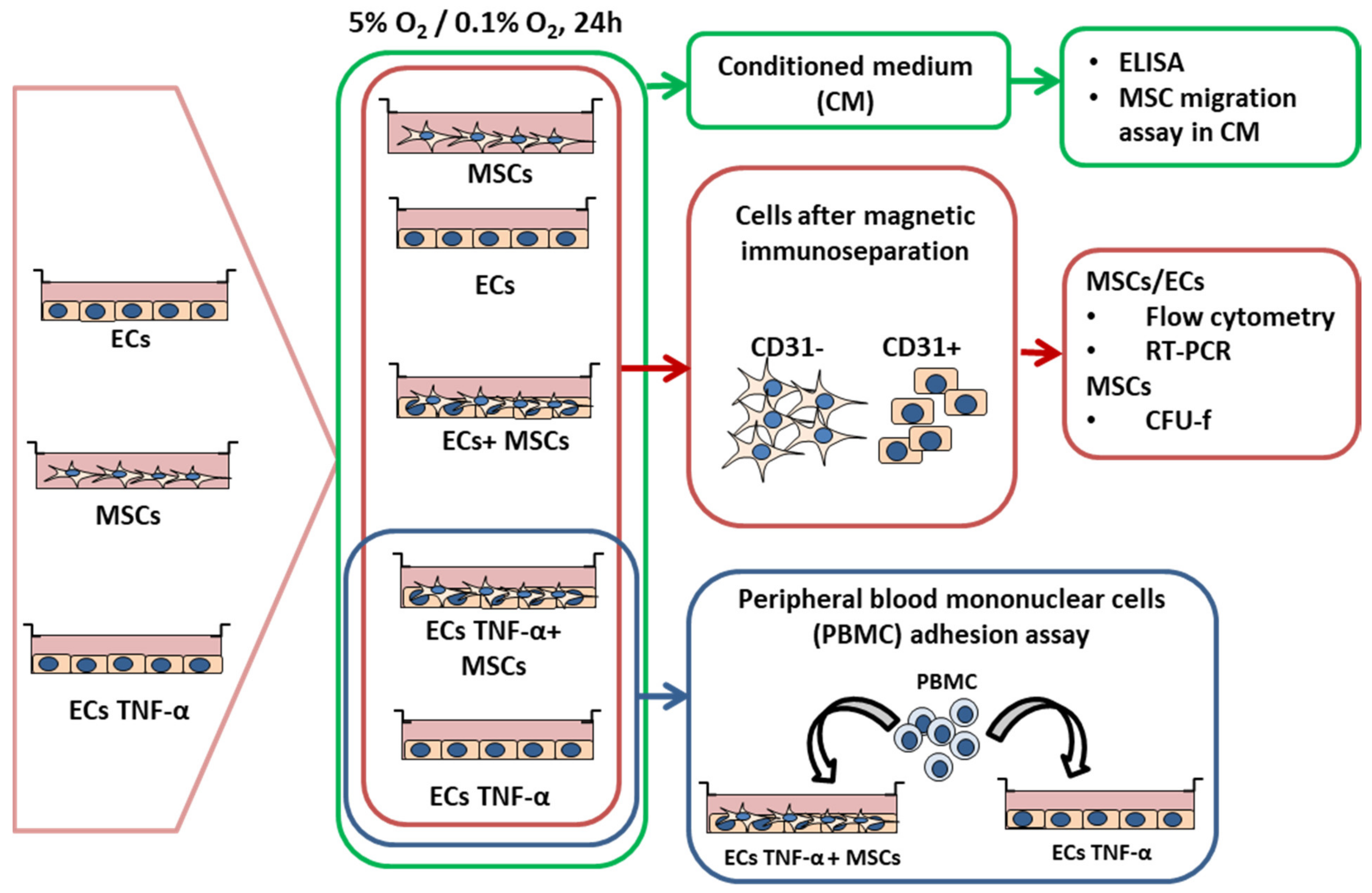 Ijtm 01 00009 g001 Ijtm 01 00009 g001