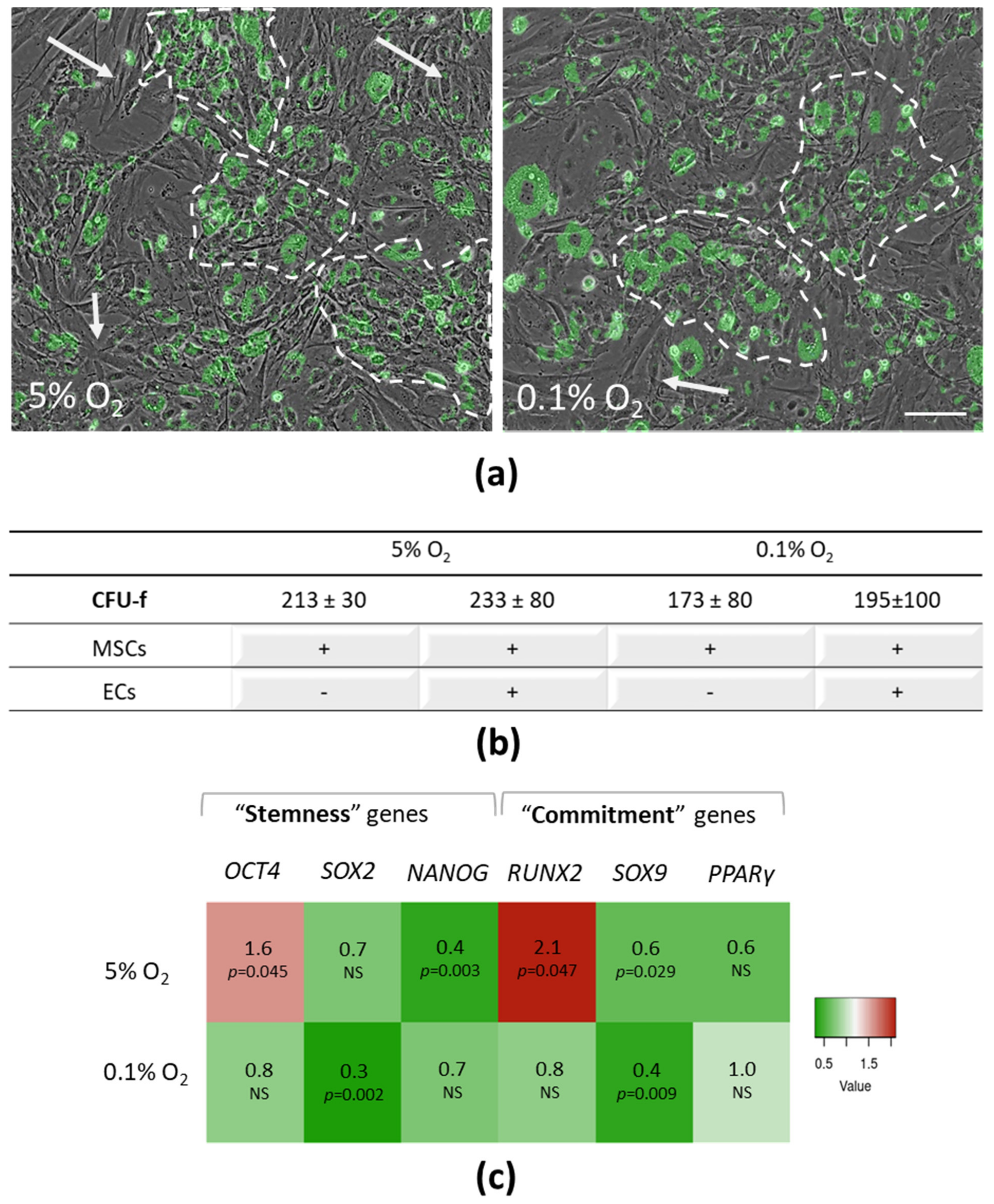Ijtm 01 00009 g003 Ijtm 01 00009 g003