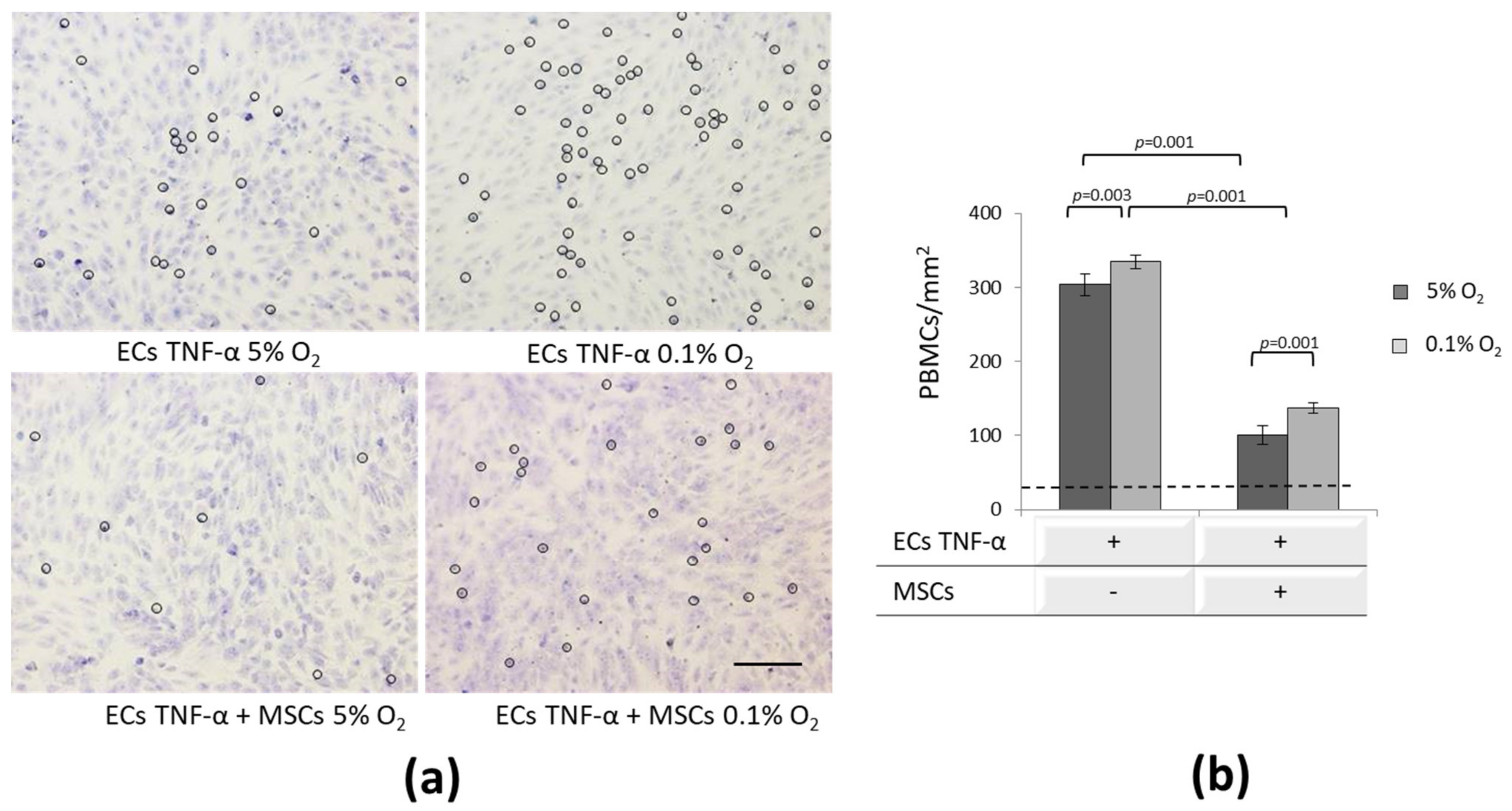 Ijtm 01 00009 g008 Ijtm 01 00009 g008