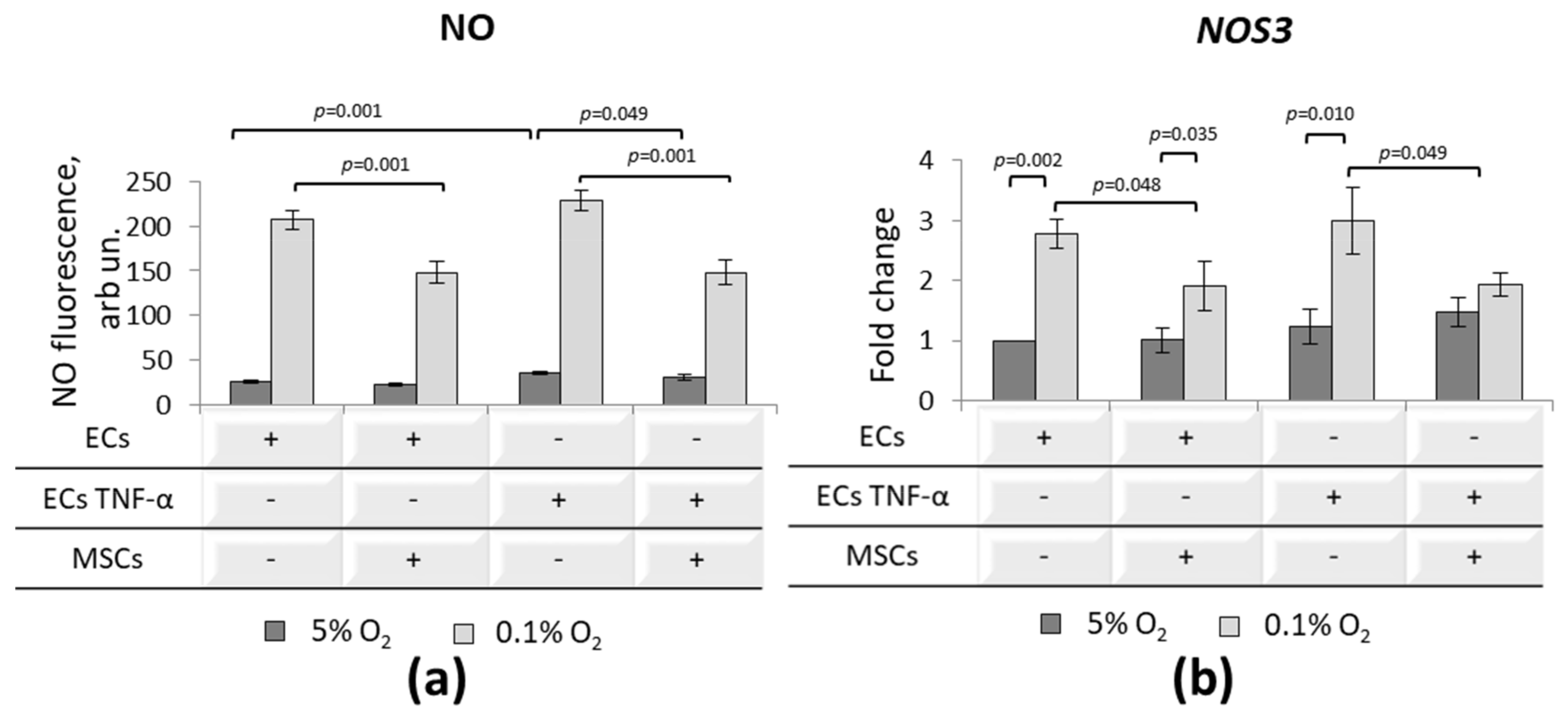 Ijtm 01 00009 g009 Ijtm 01 00009 g009