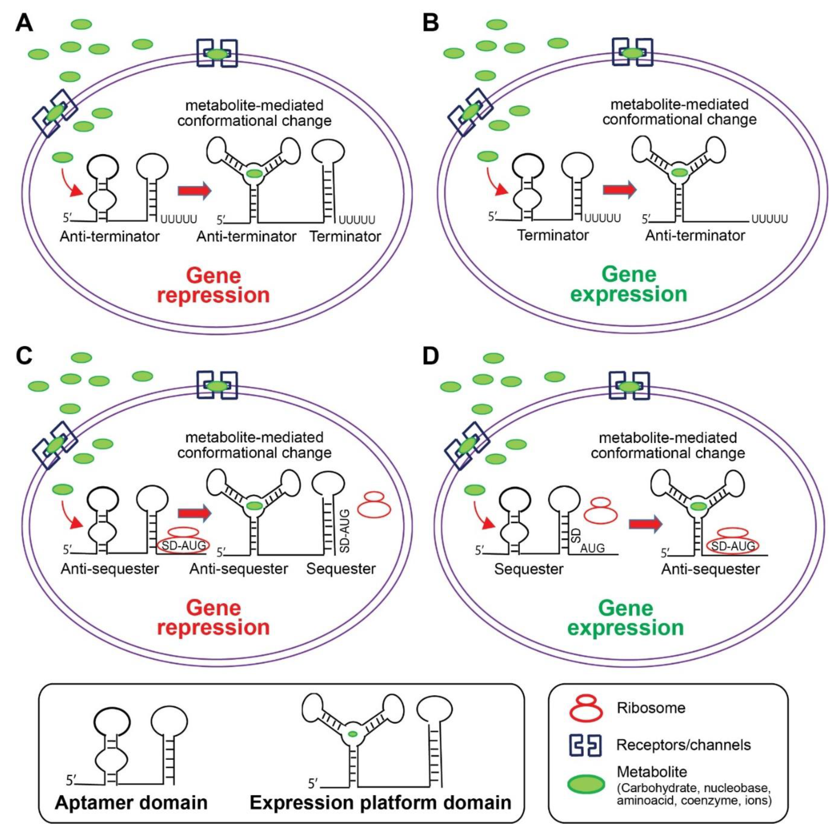 Ijtm 01 00024 g003 Ijtm 01 00024 g003