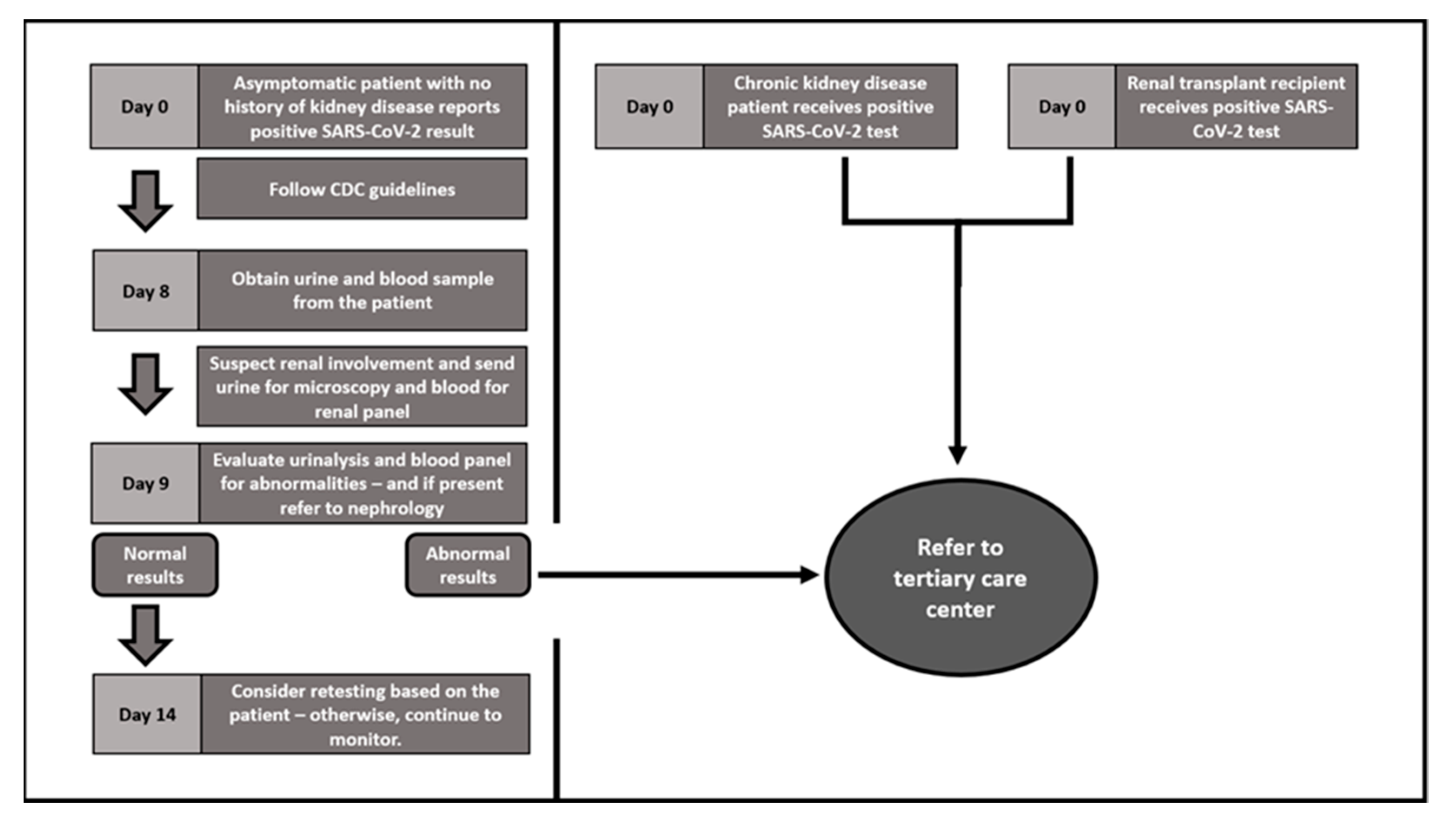 Ijtm 03 00007 g001 Ijtm 03 00007 g001