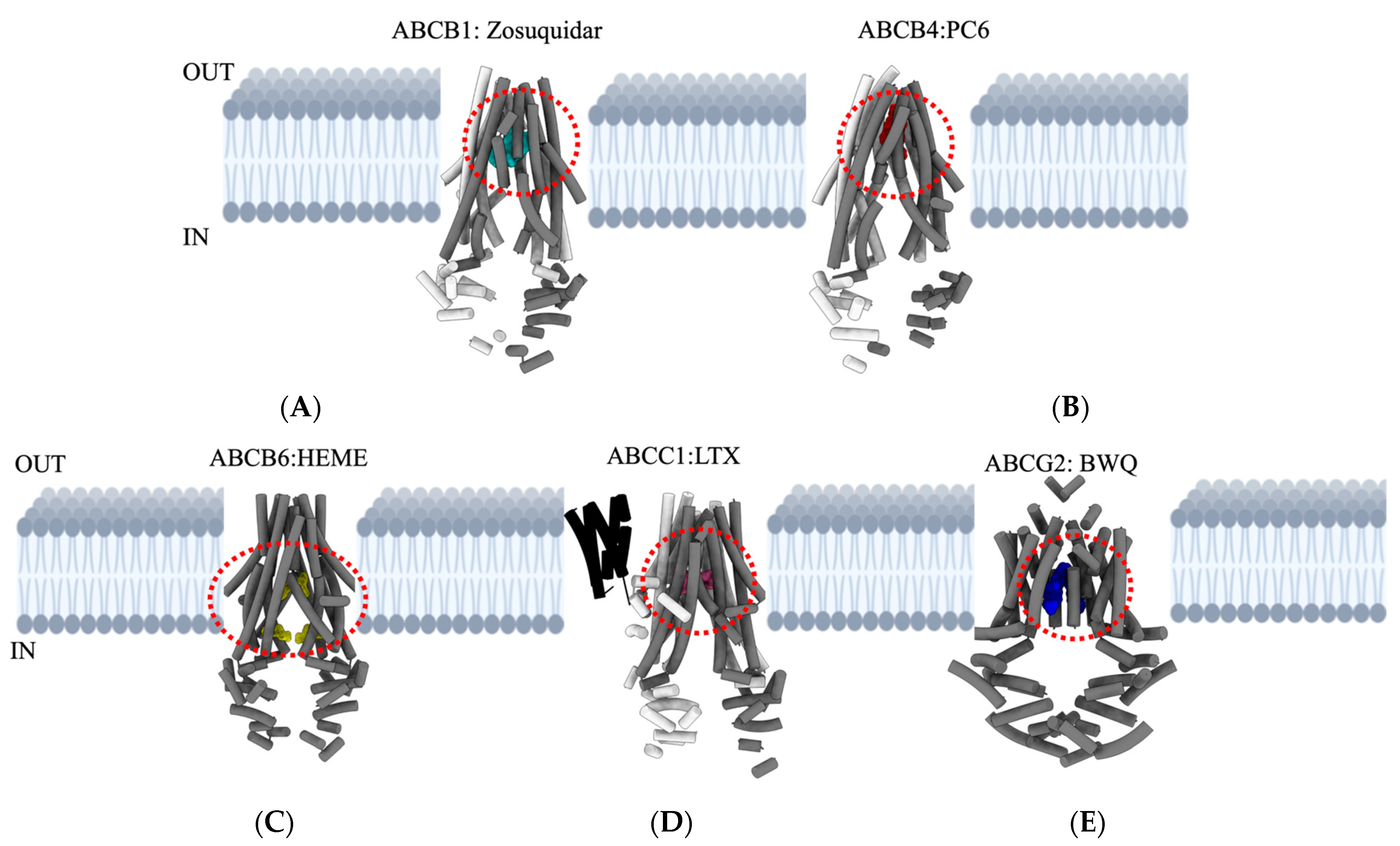 Ijtm 05 00006 g003 Ijtm 05 00006 g003