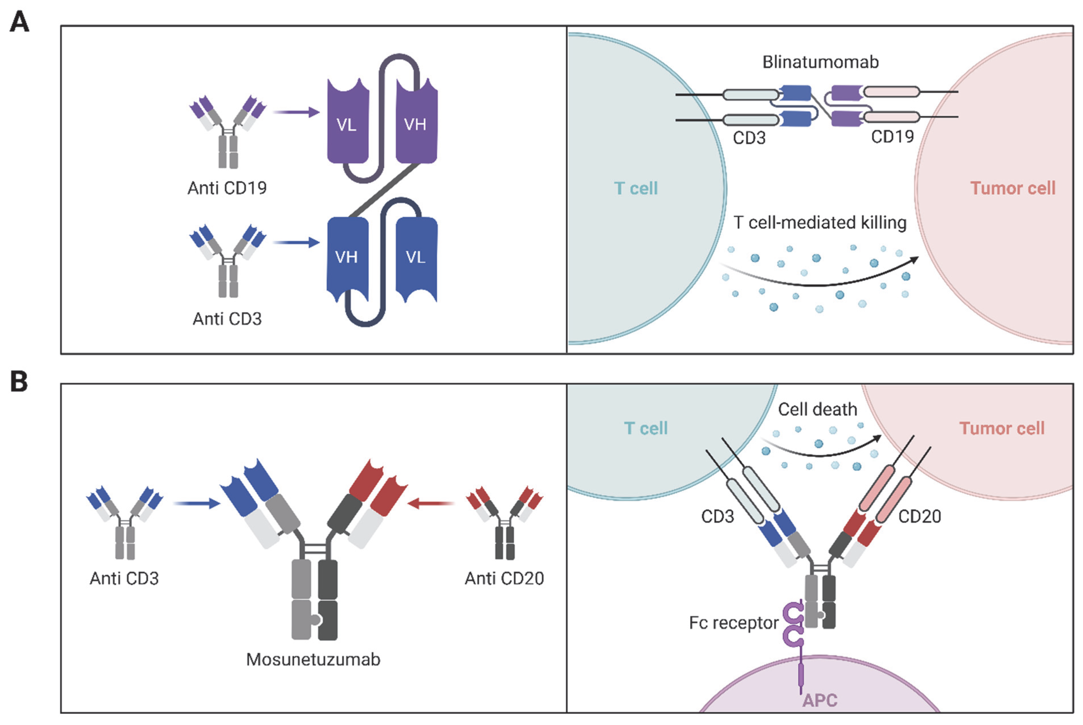 Ijtm 05 00028 g003 Ijtm 05 00028 g003