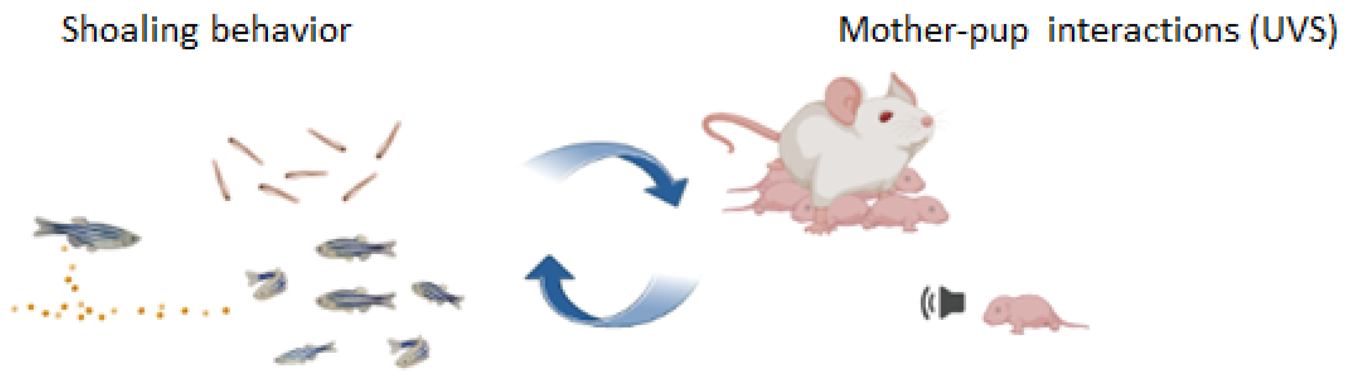 Ijtm 06 00008 g002 Ijtm 06 00008 g002