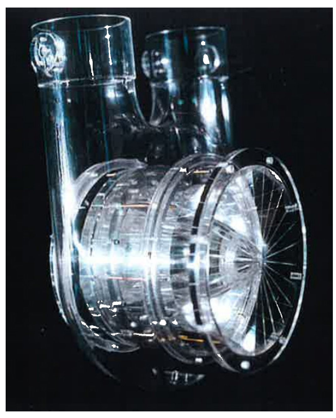 Ijtpp 01 00002 g004