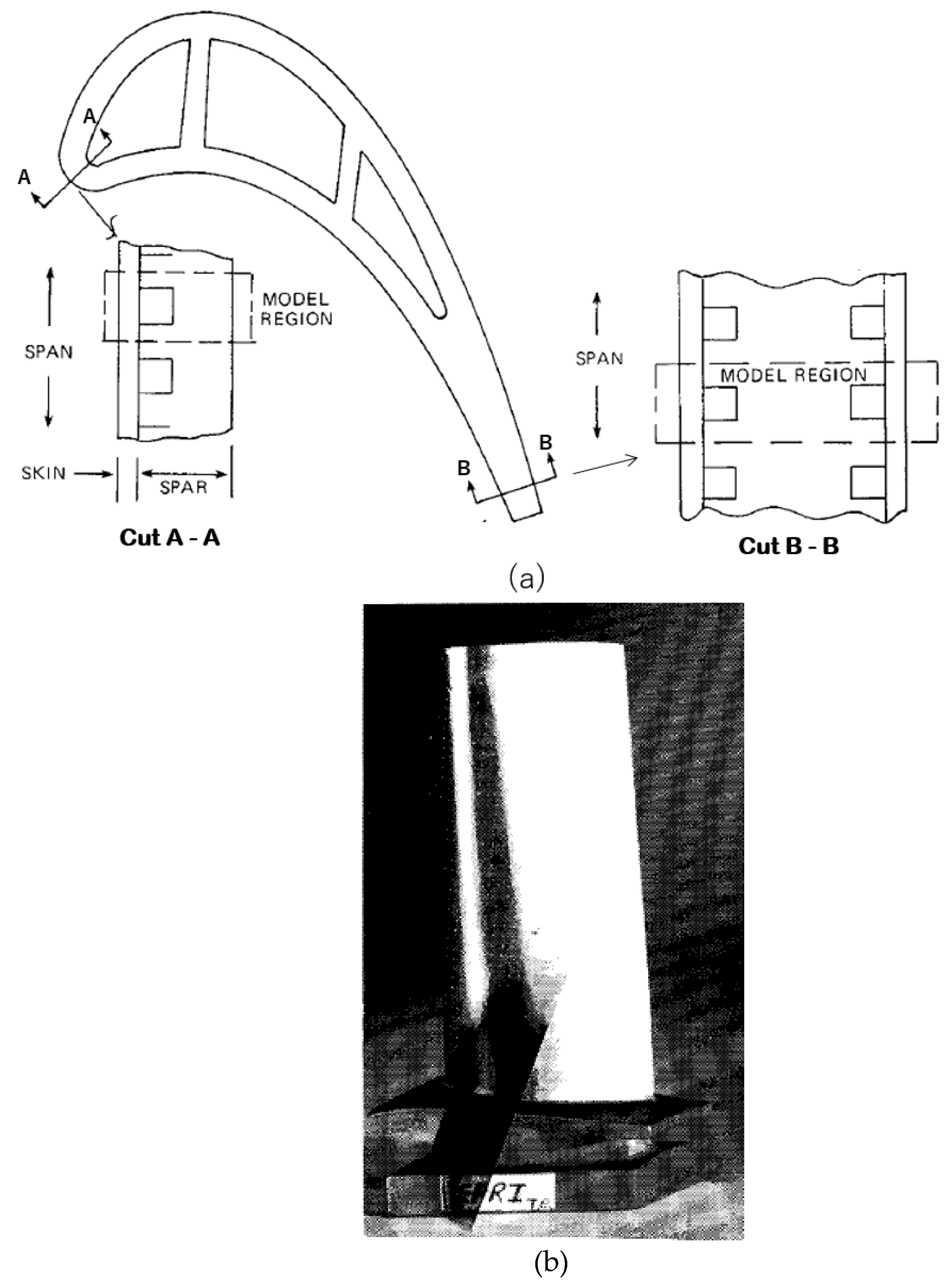 Ijtpp 08 00019 g019