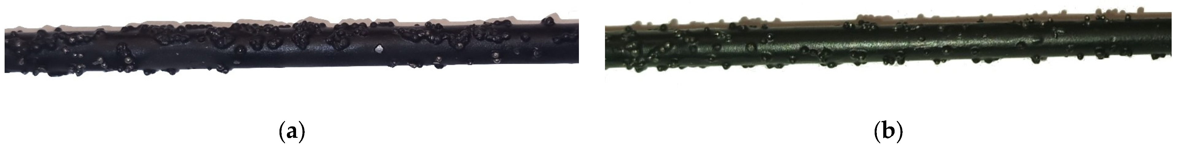 Ijtpp 10 00045 g014 Ijtpp 10 00045 g014
