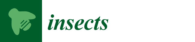 Insects Logo