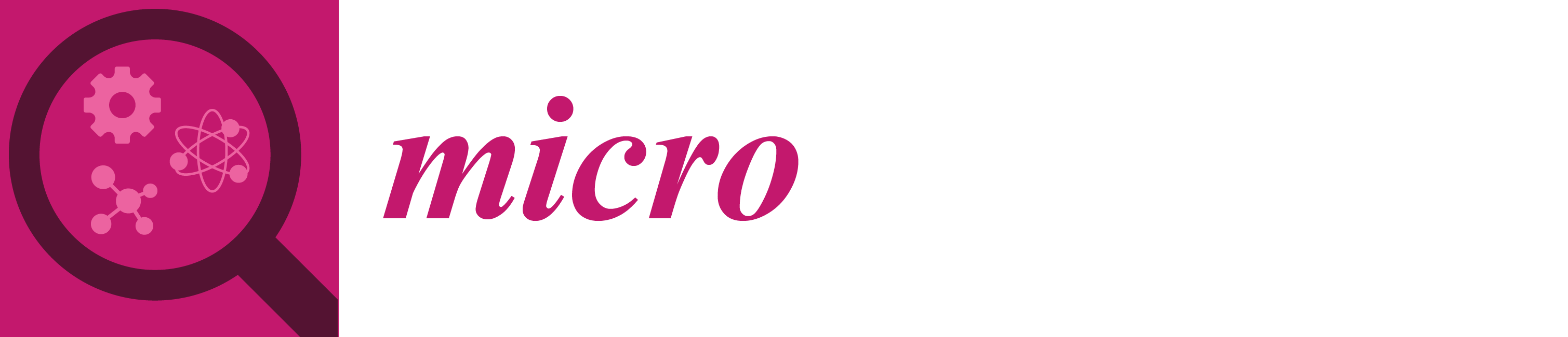 Micro