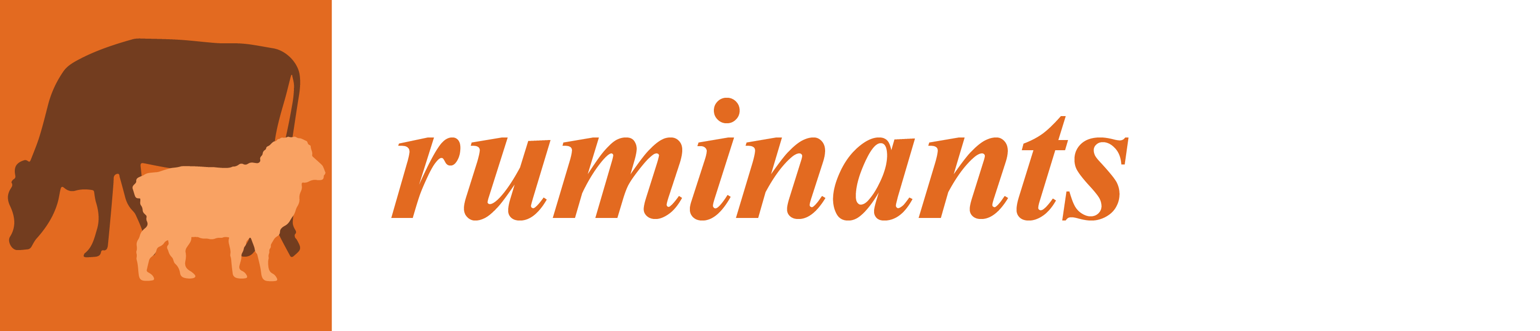 Ruminants