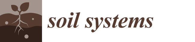 Soil Systems Logo