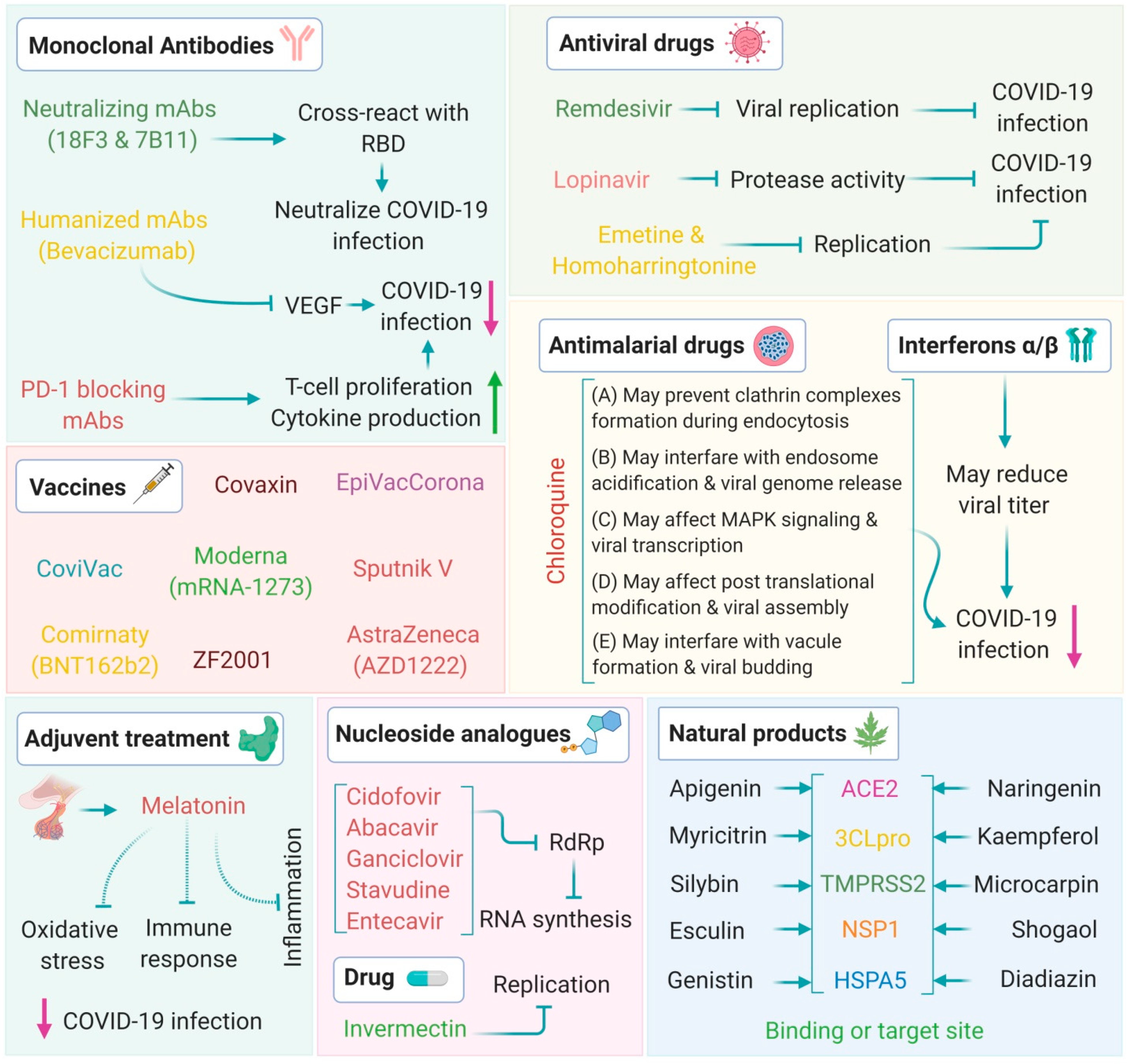 Immuno 01 00004 g006 Immuno 01 00004 g006