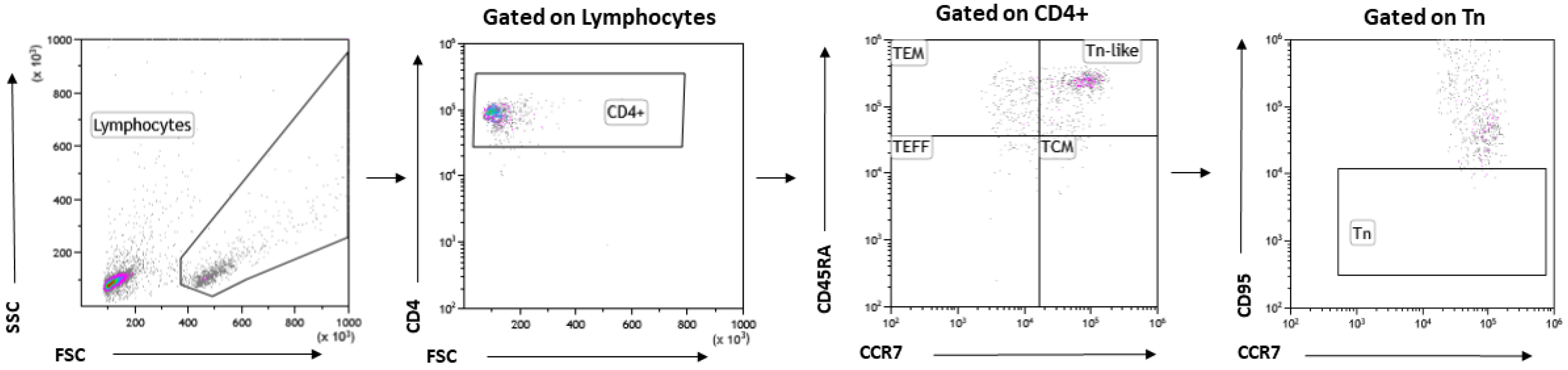 Immuno 01 00008 g001