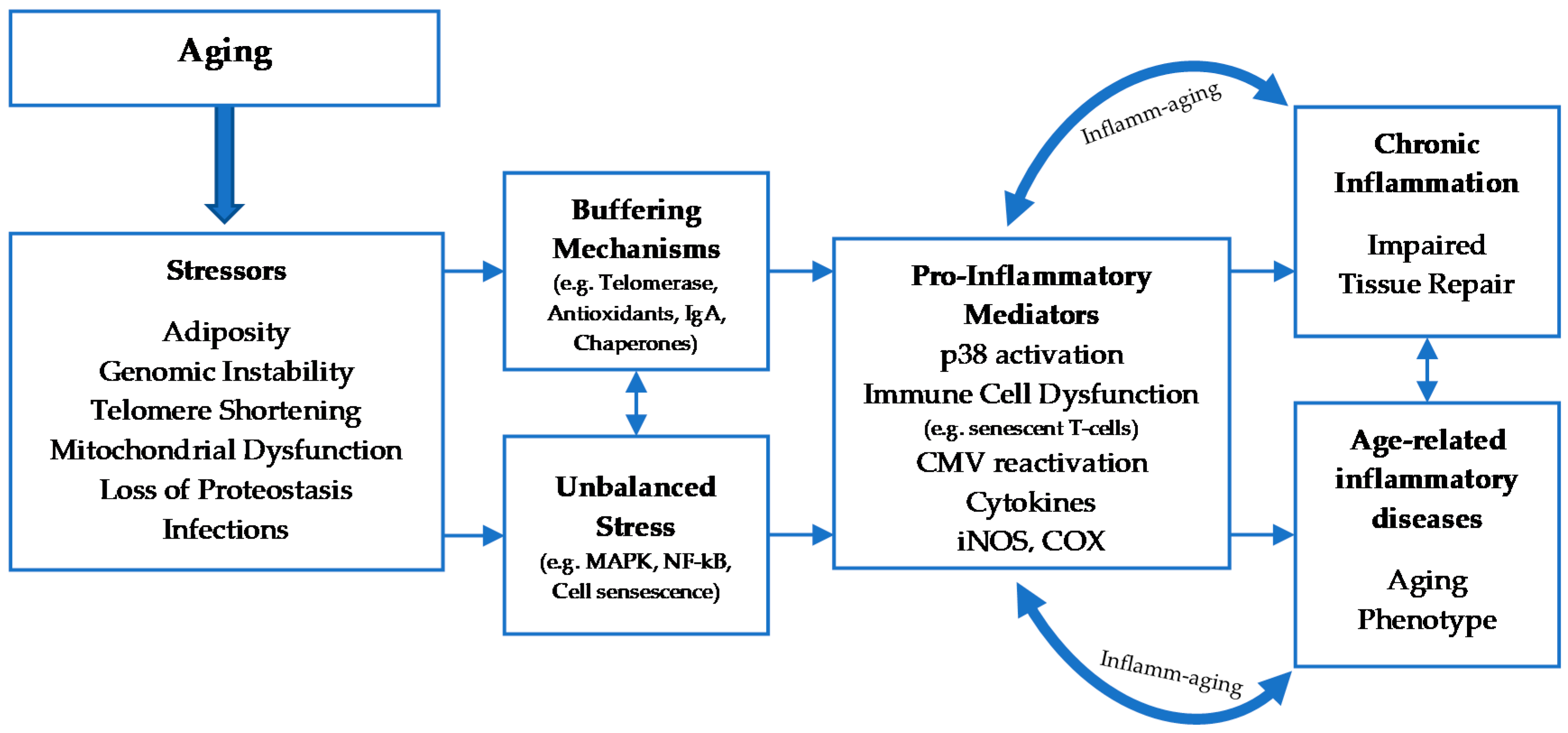 Immuno 01 00009 g001