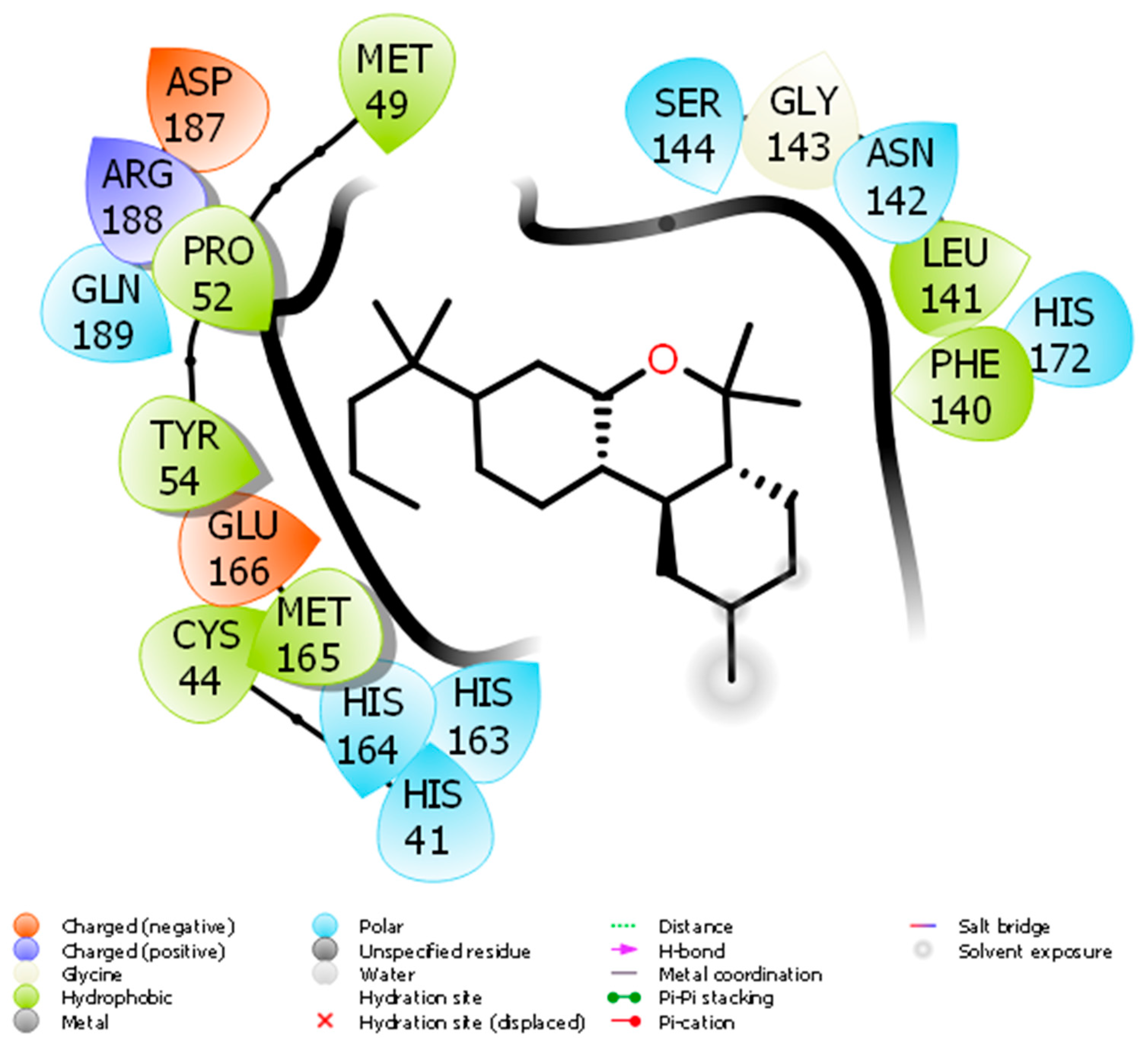 Immuno 01 00020 g001