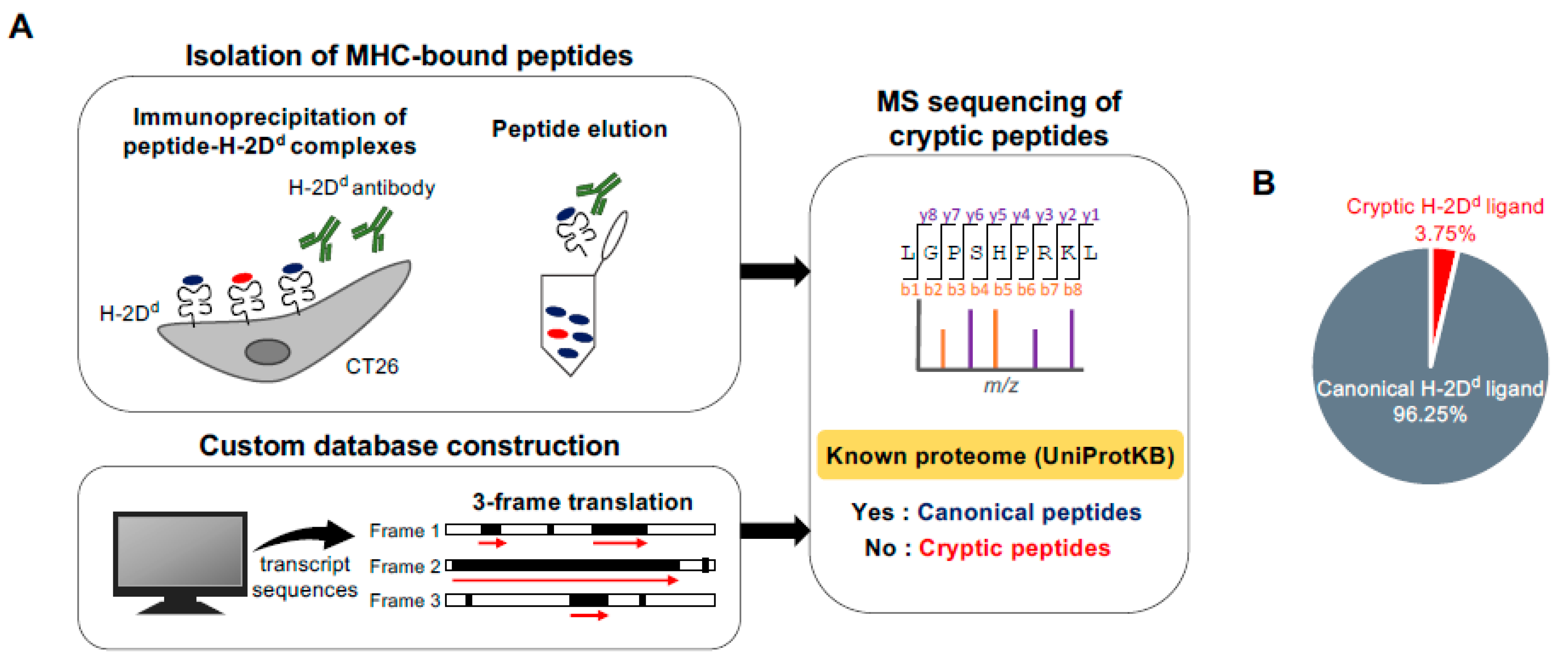 Immuno 01 00030 g001