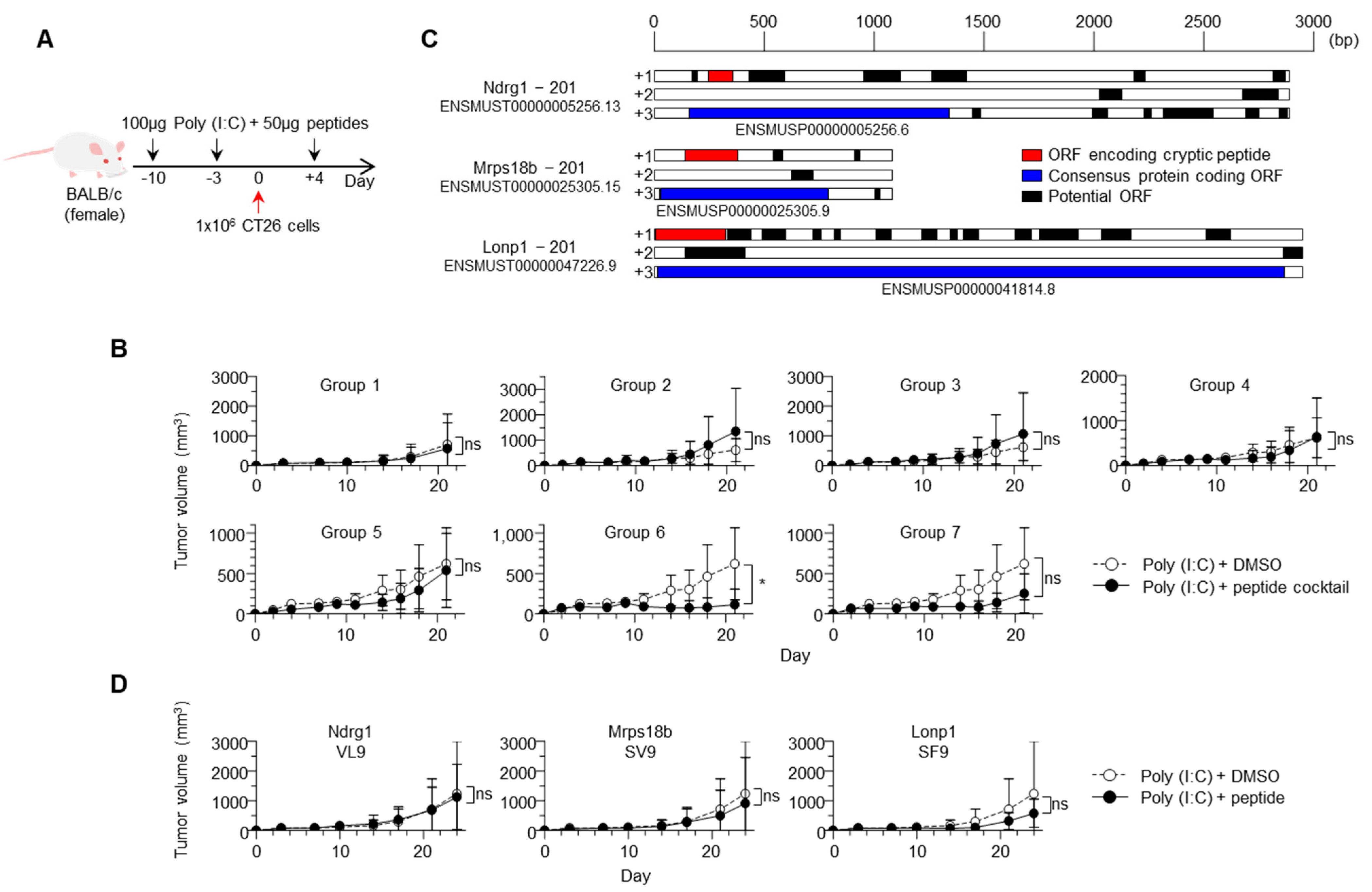 Immuno 01 00030 g003