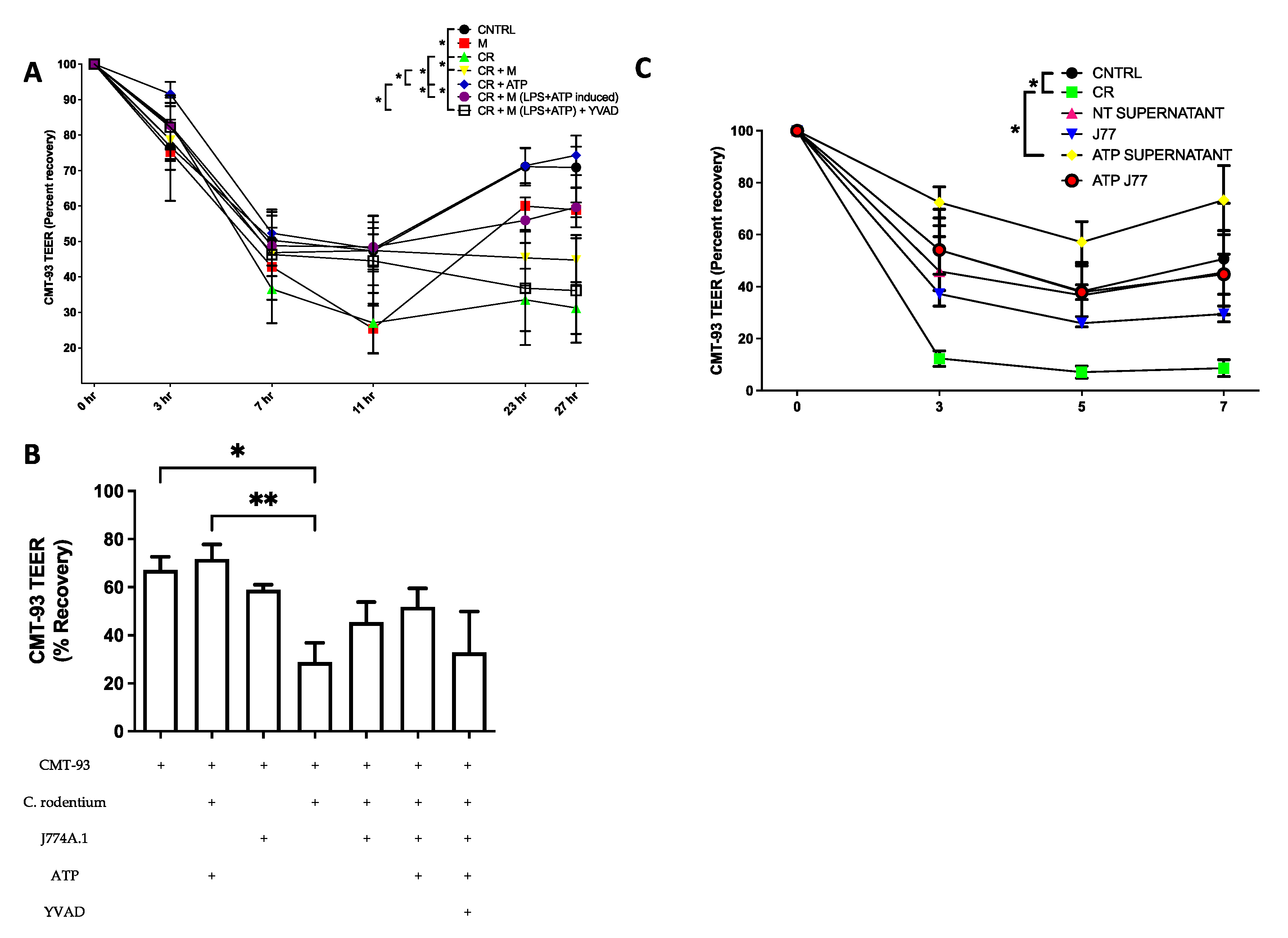 Immuno 02 00002 g002