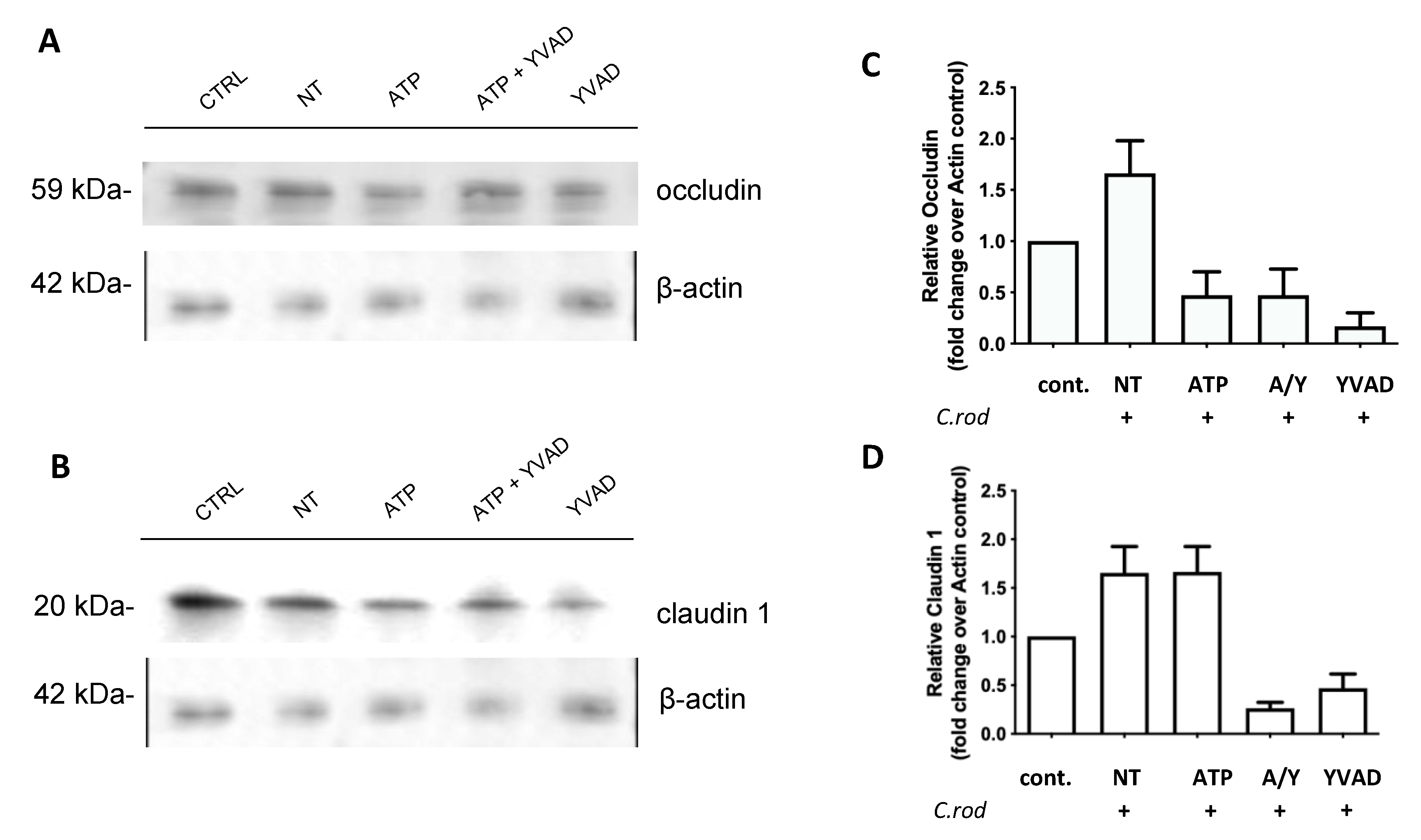 Immuno 02 00002 g004