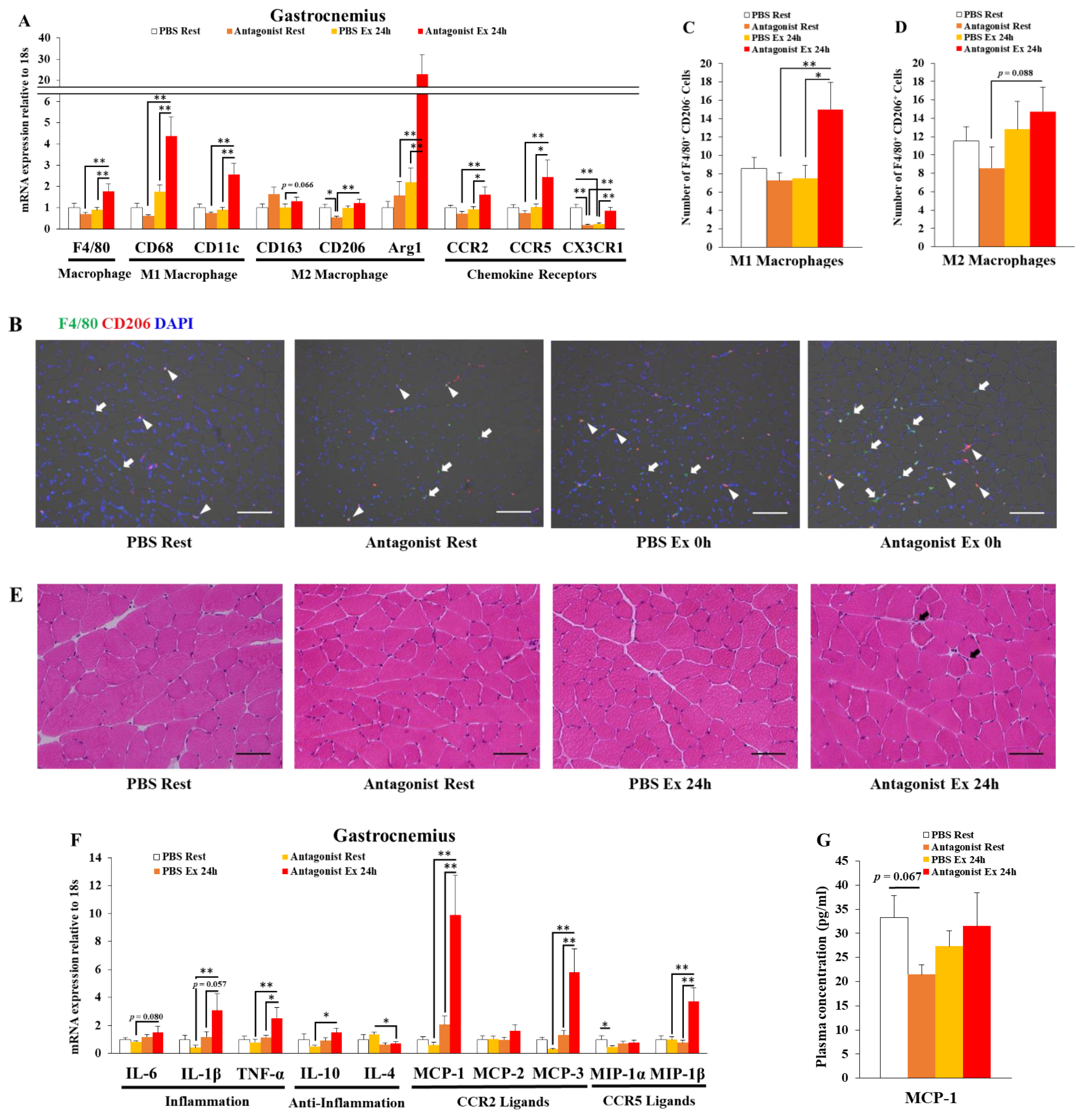 Immuno 02 00003 g001