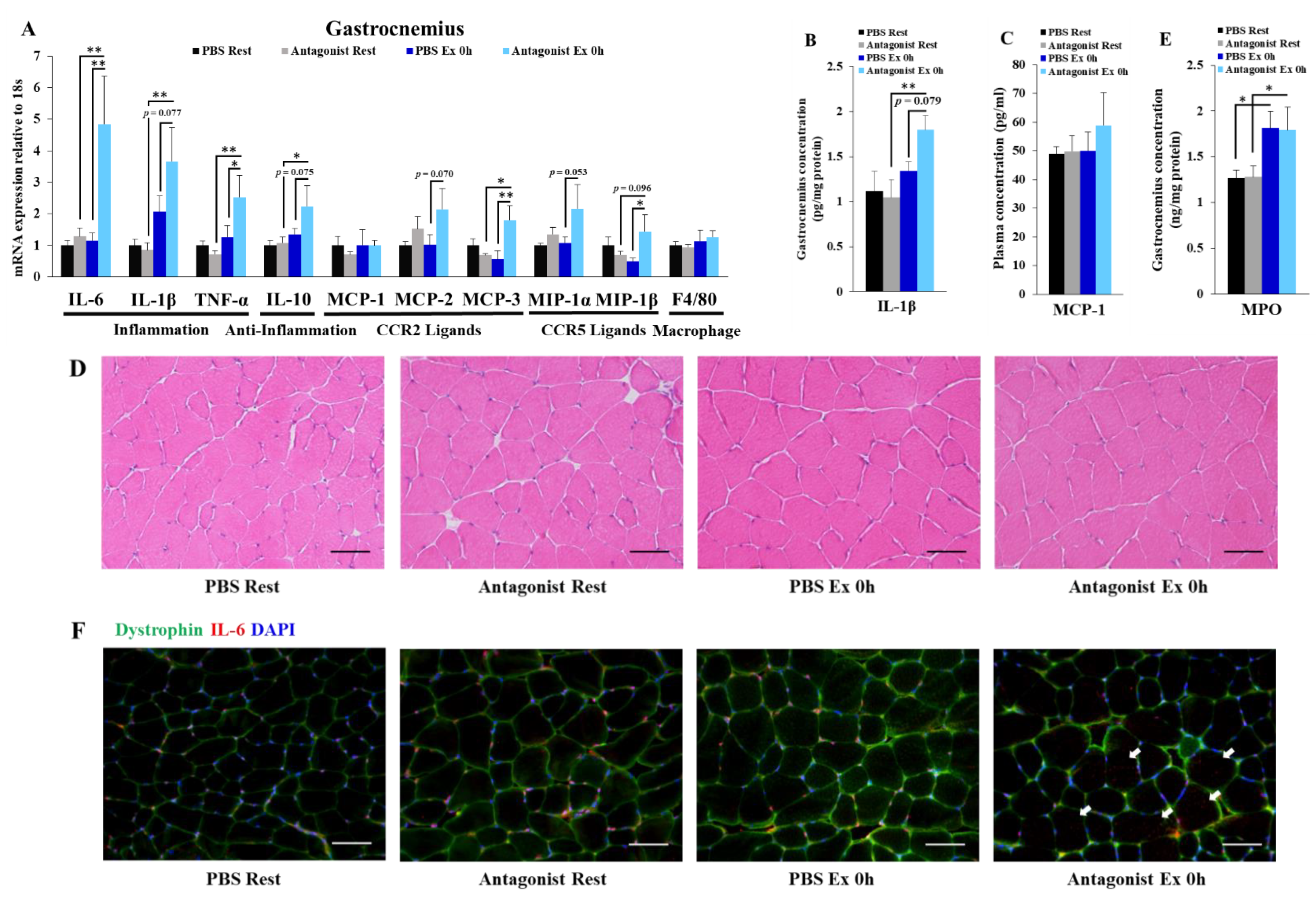 Immuno 02 00003 g002