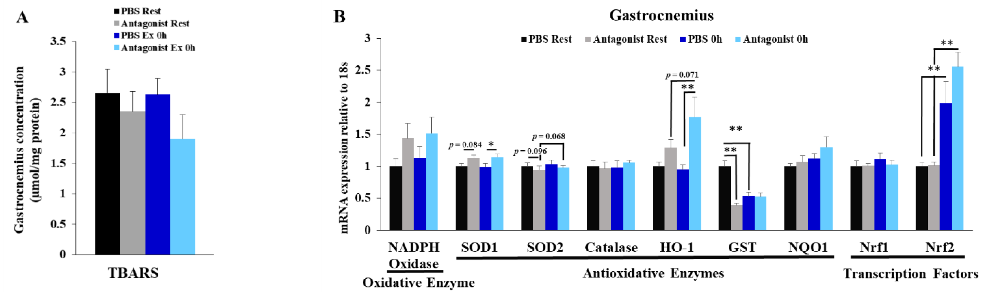 Immuno 02 00003 g003