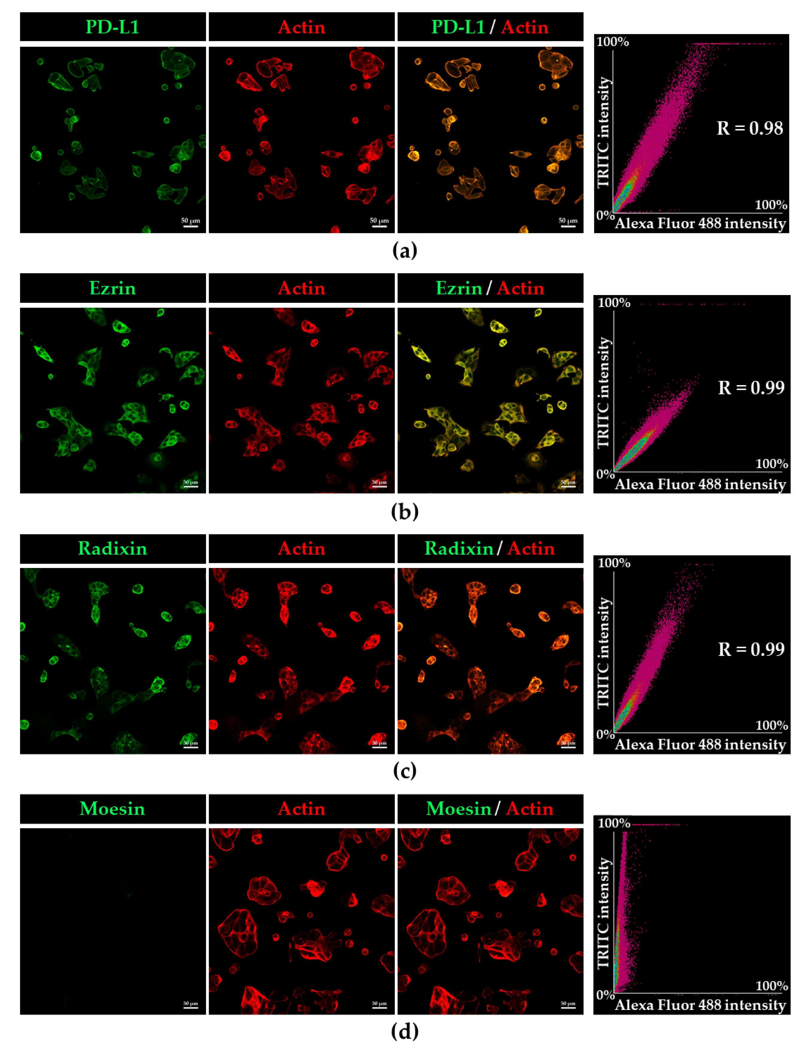 Immuno 02 00006 g002