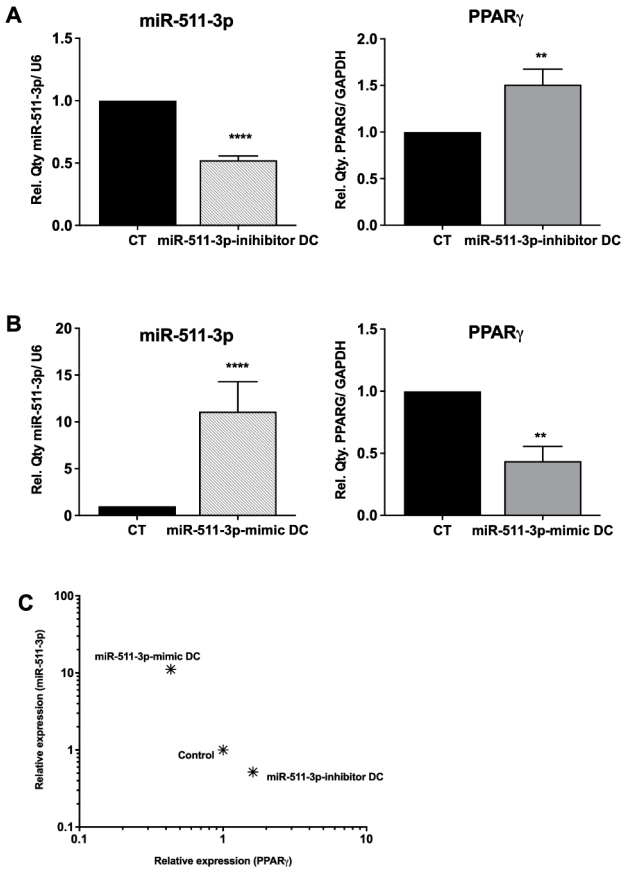 Immuno 02 00008 g001