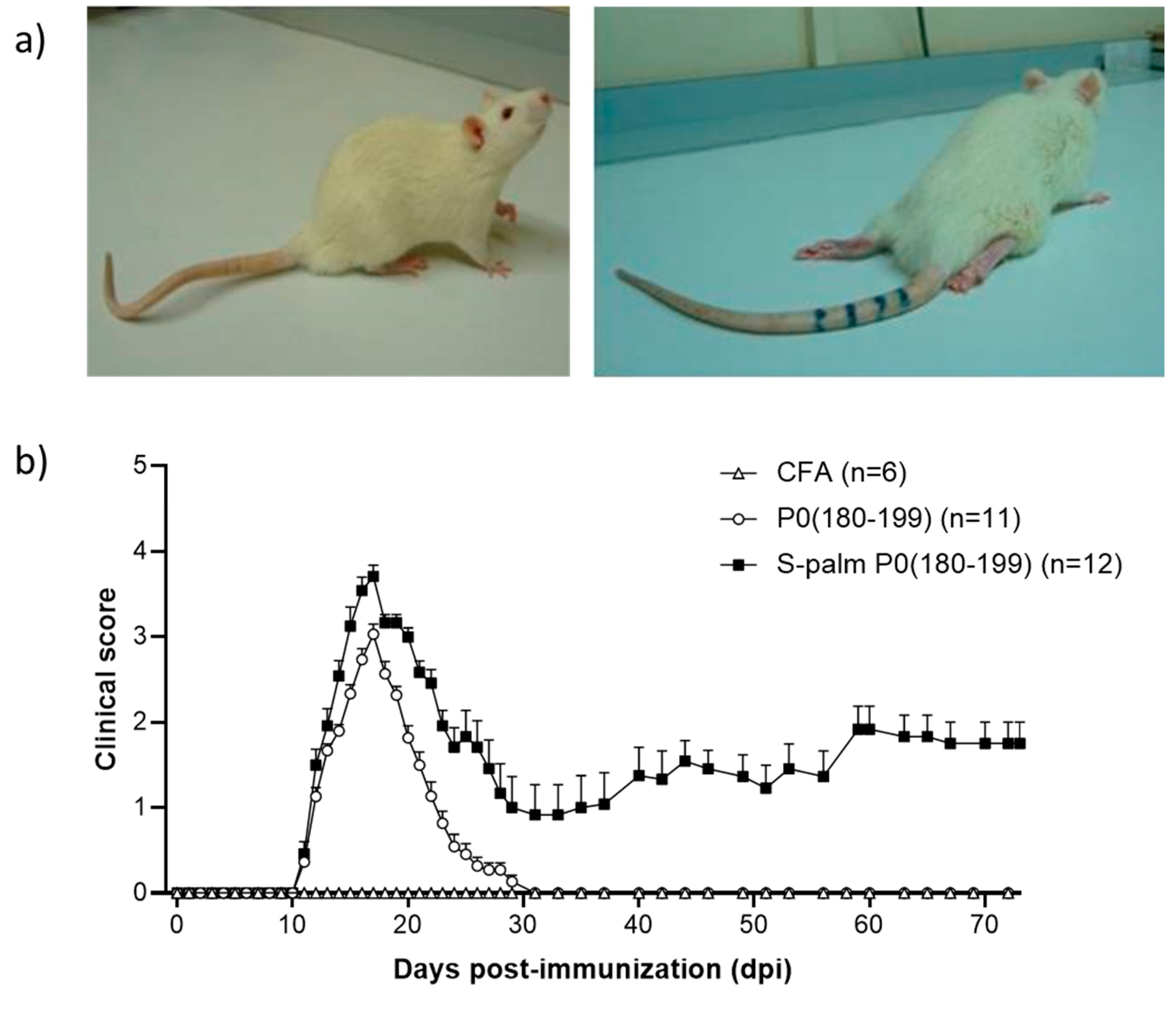 Immuno 02 00009 g003