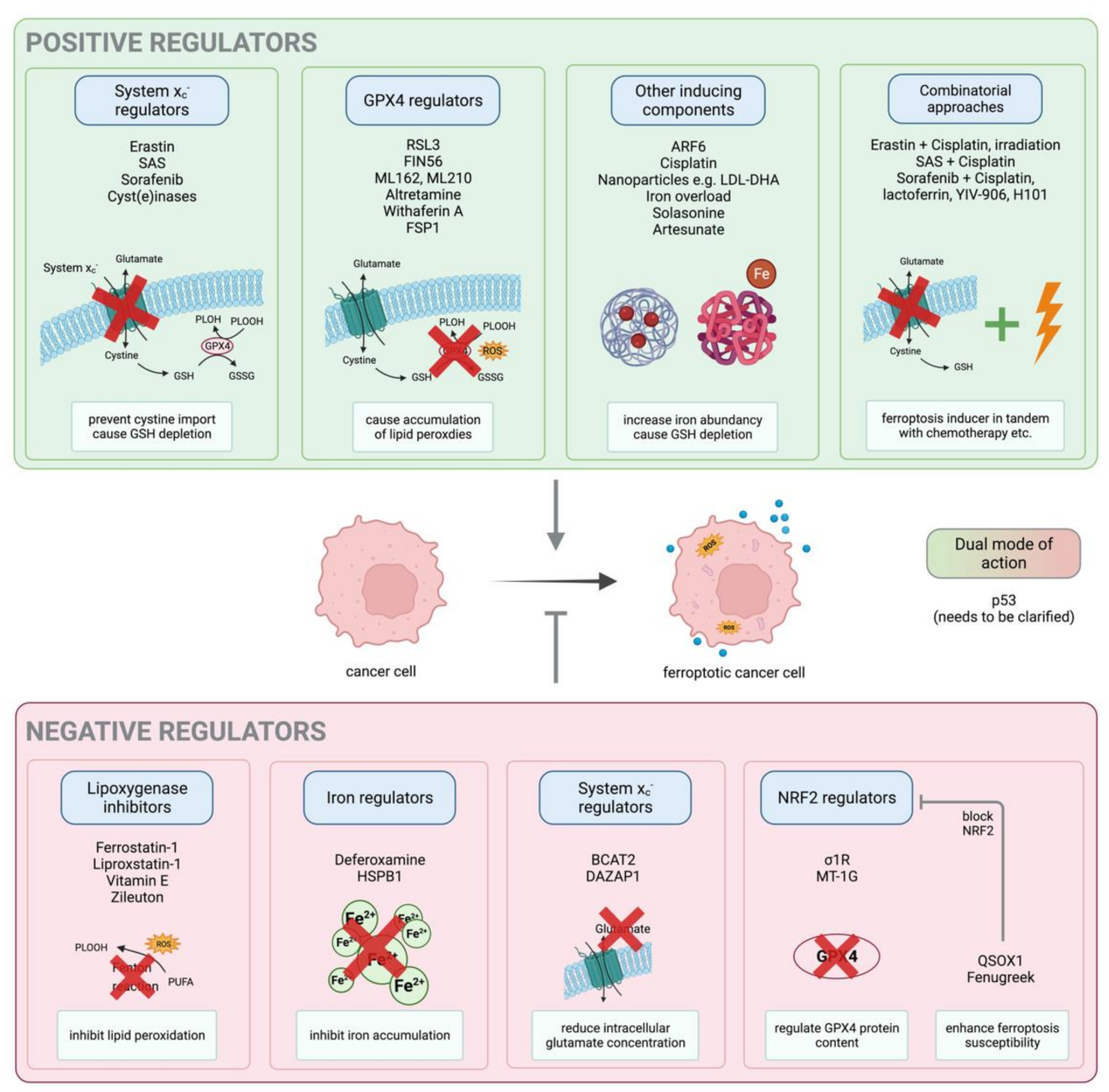 Immuno 02 00014 g003