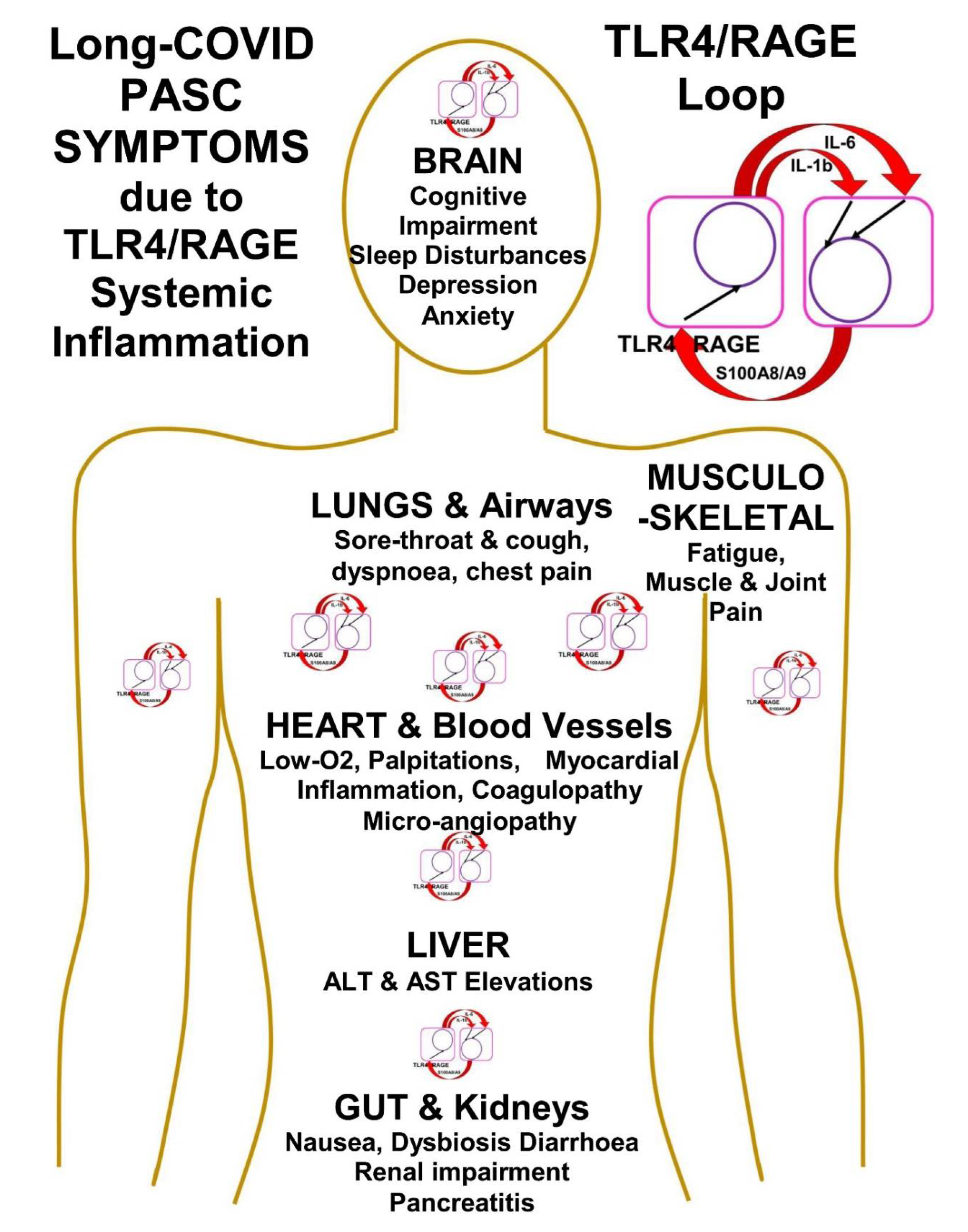 Immuno 02 00033 g001