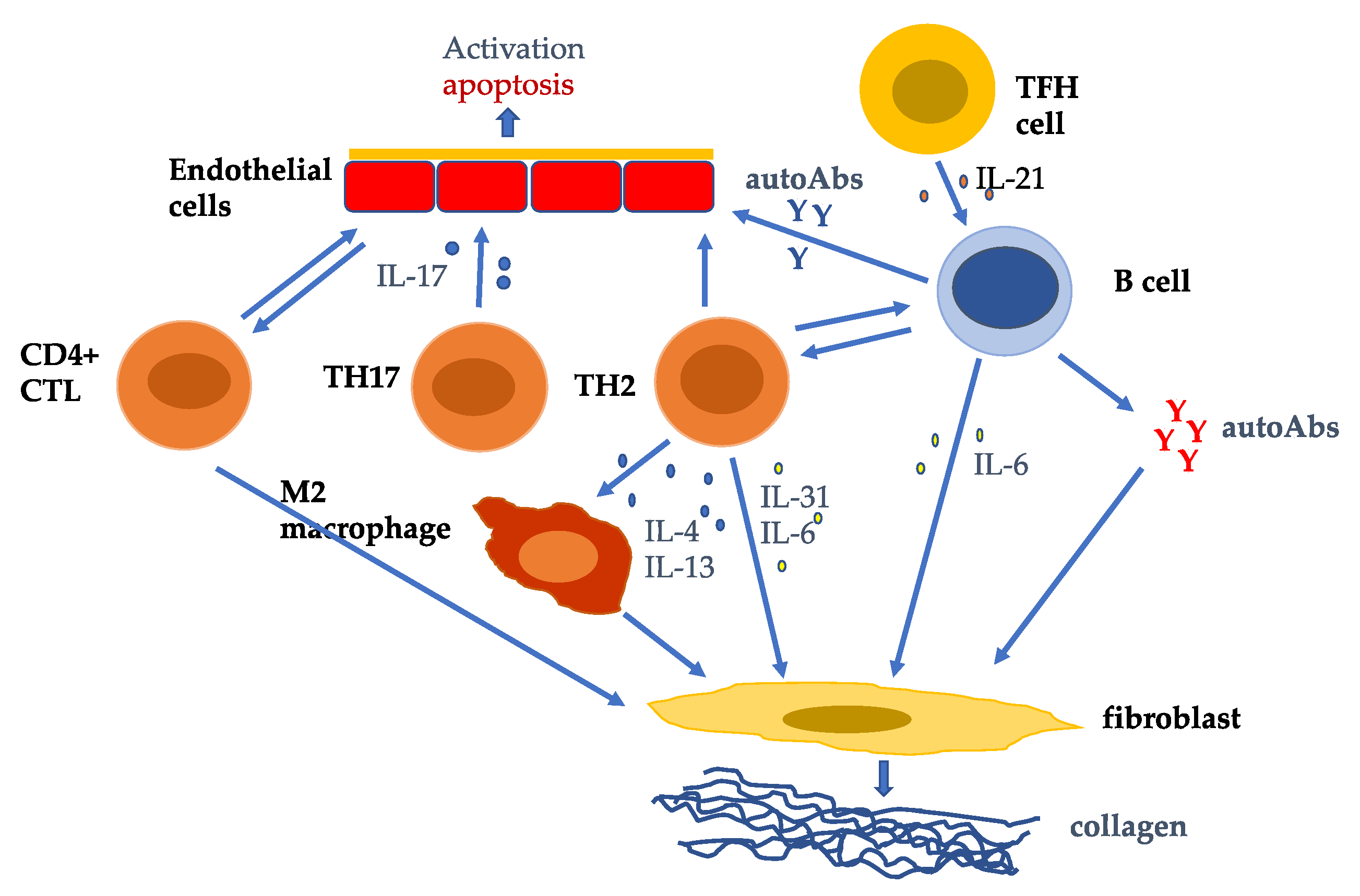 Immuno 02 00034 g001