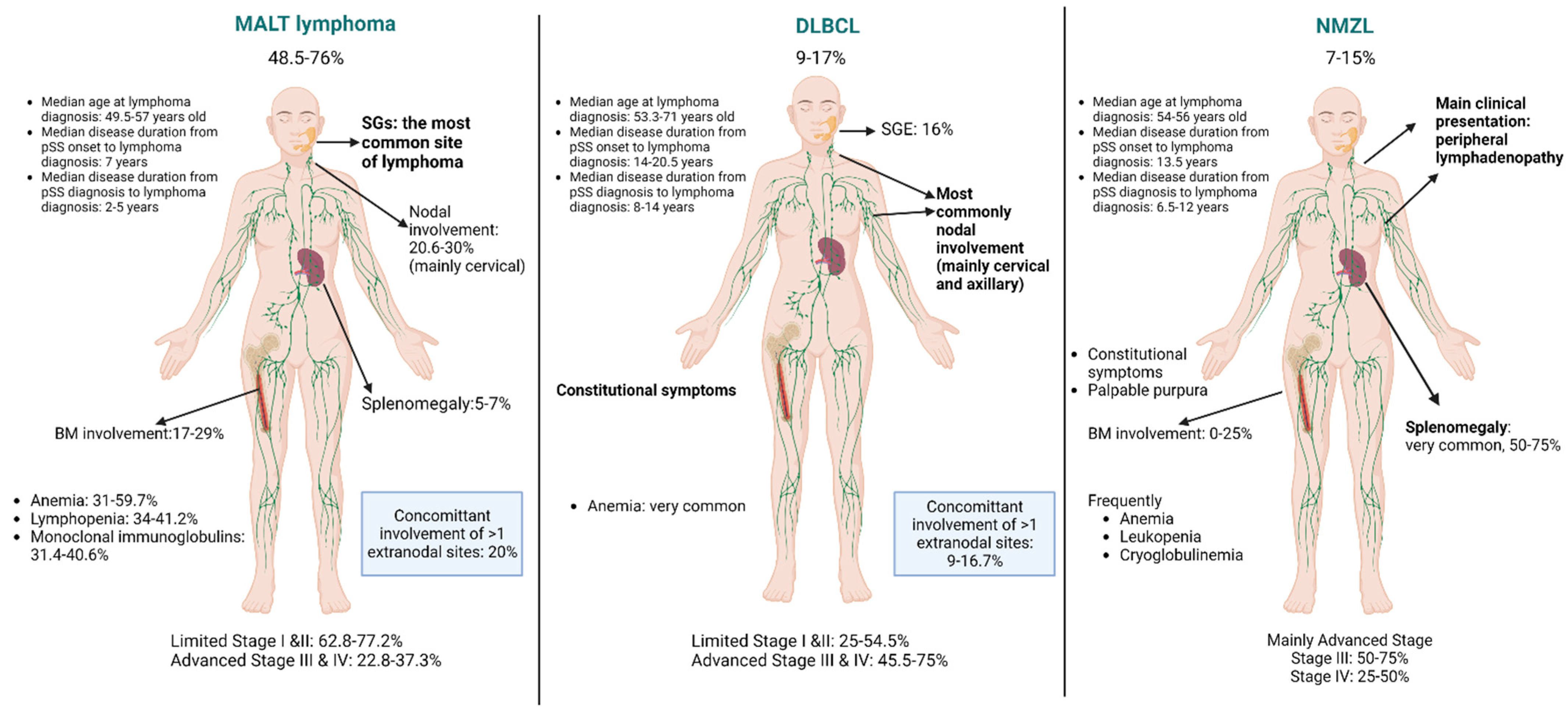 Immuno 02 00037 g003