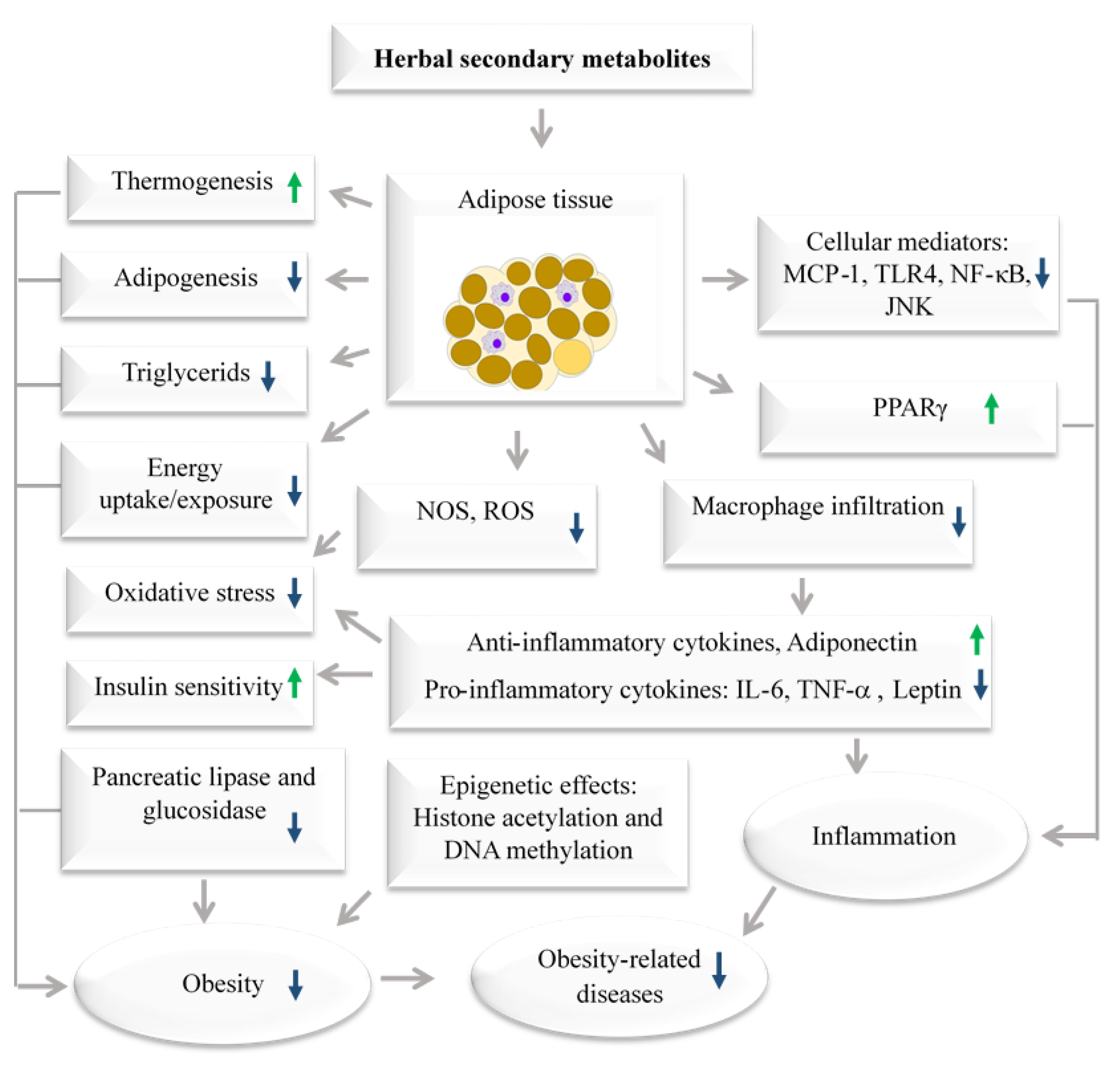 Immuno 02 00038 g001
