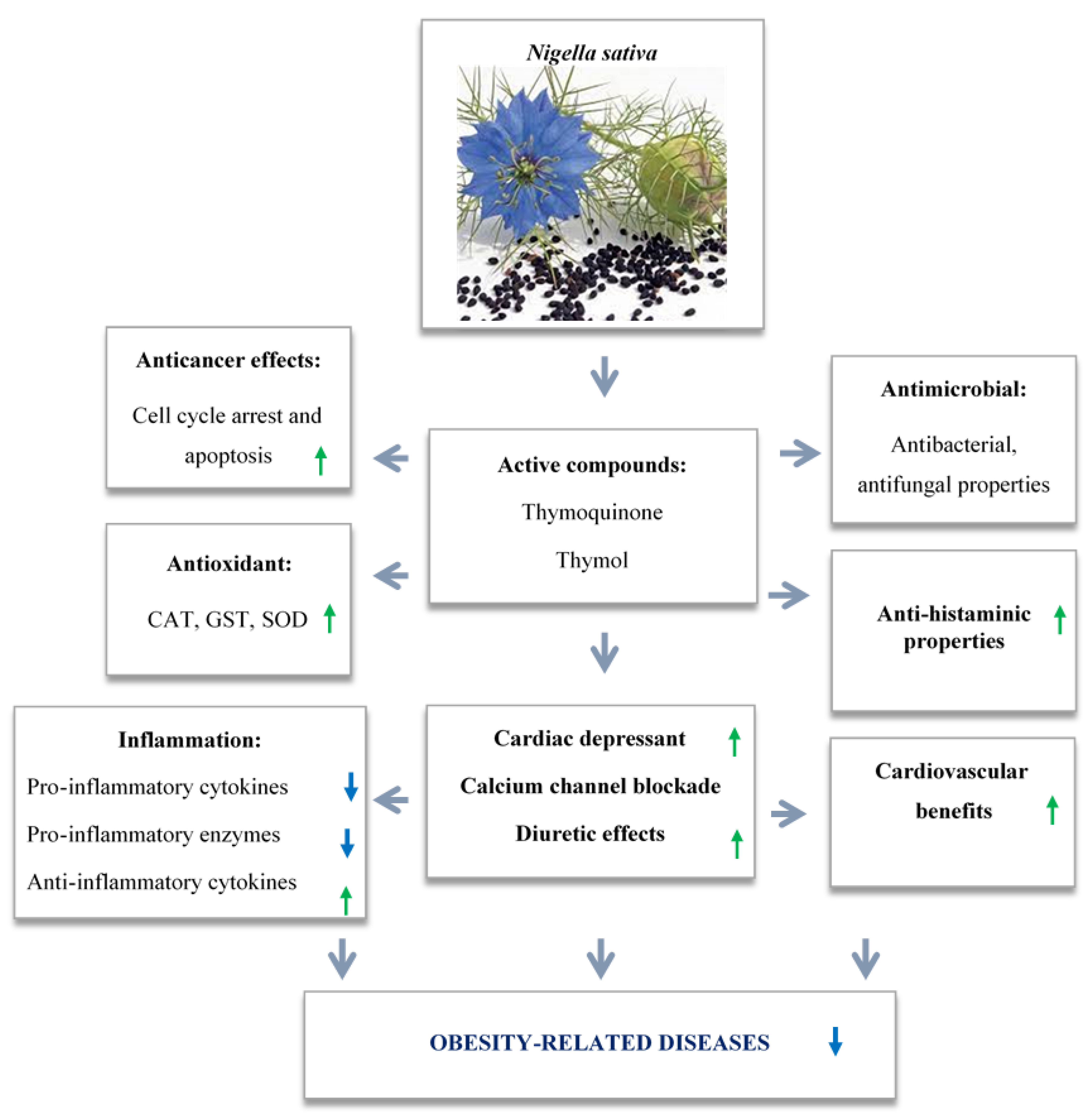 Immuno 02 00038 g002
