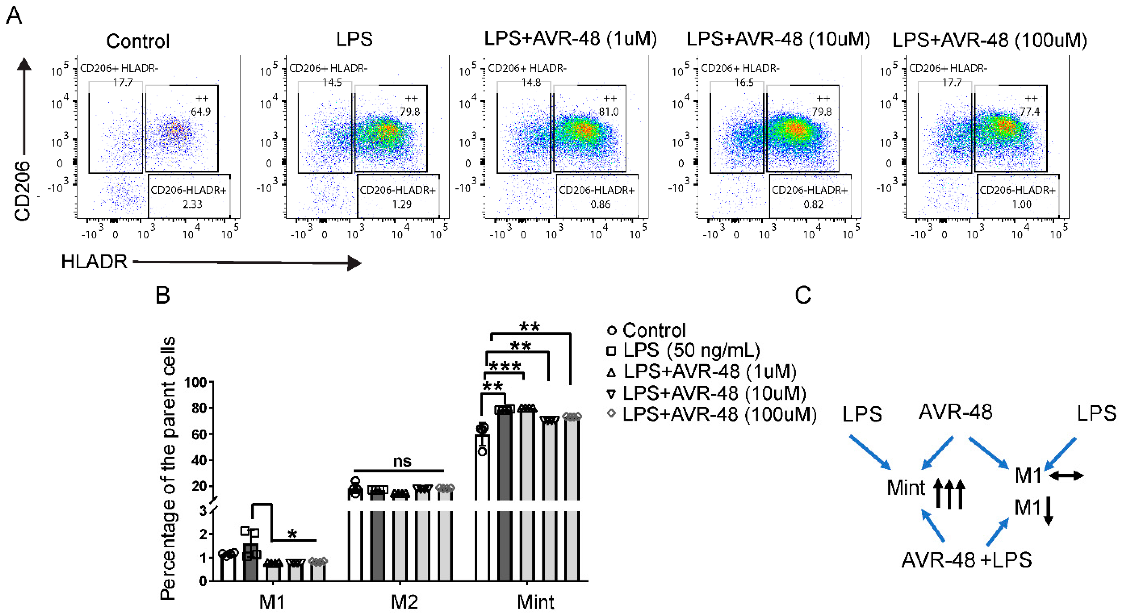 Immuno 02 00040 g006
