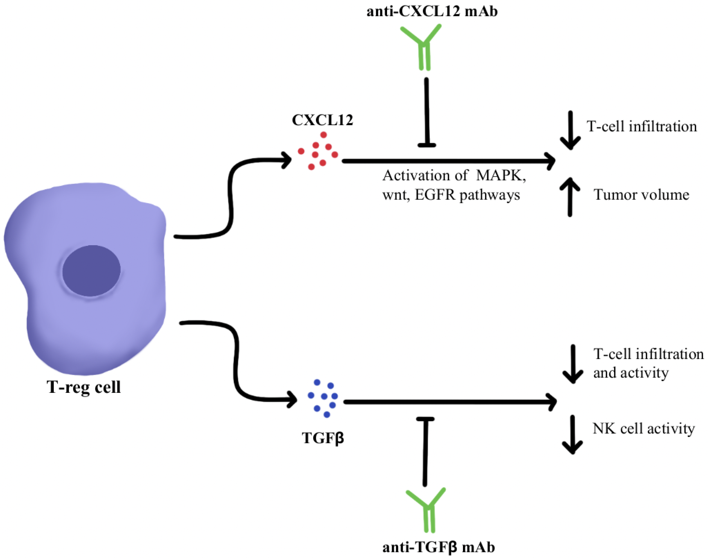 Immuno 02 00041 g001