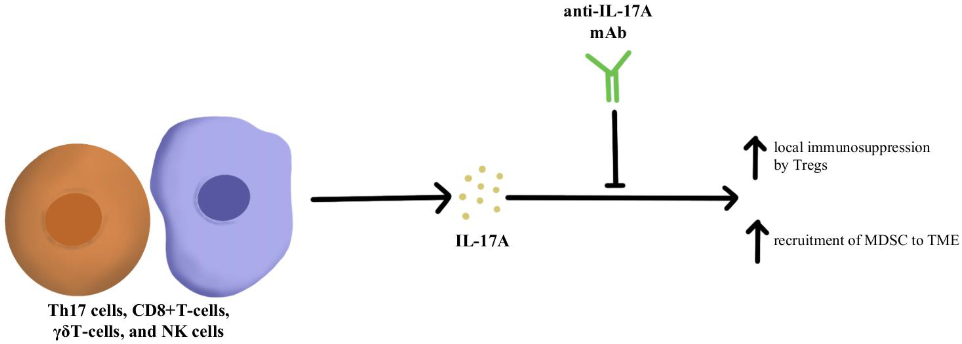 Immuno 02 00041 g002