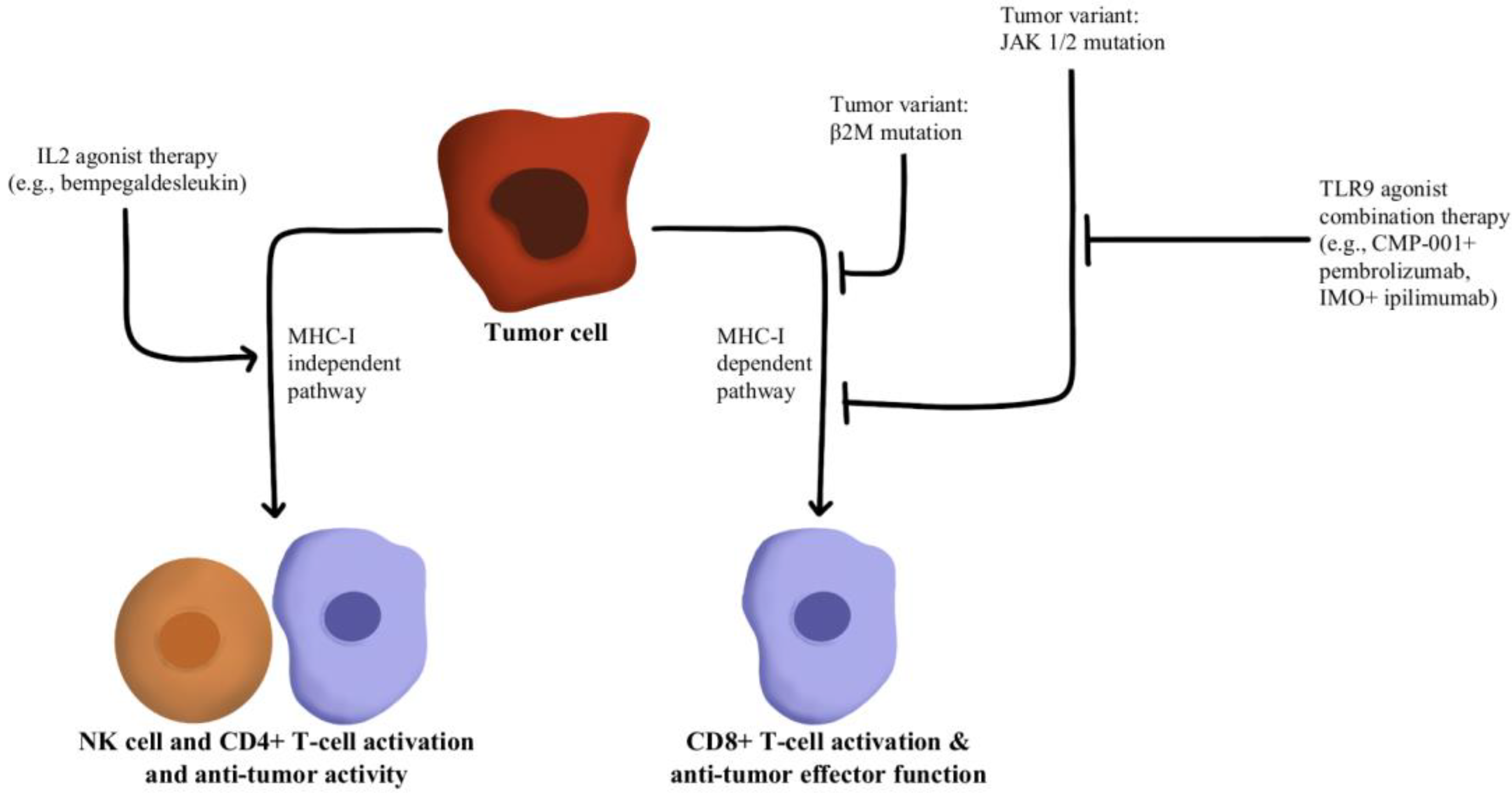 Immuno 02 00041 g006