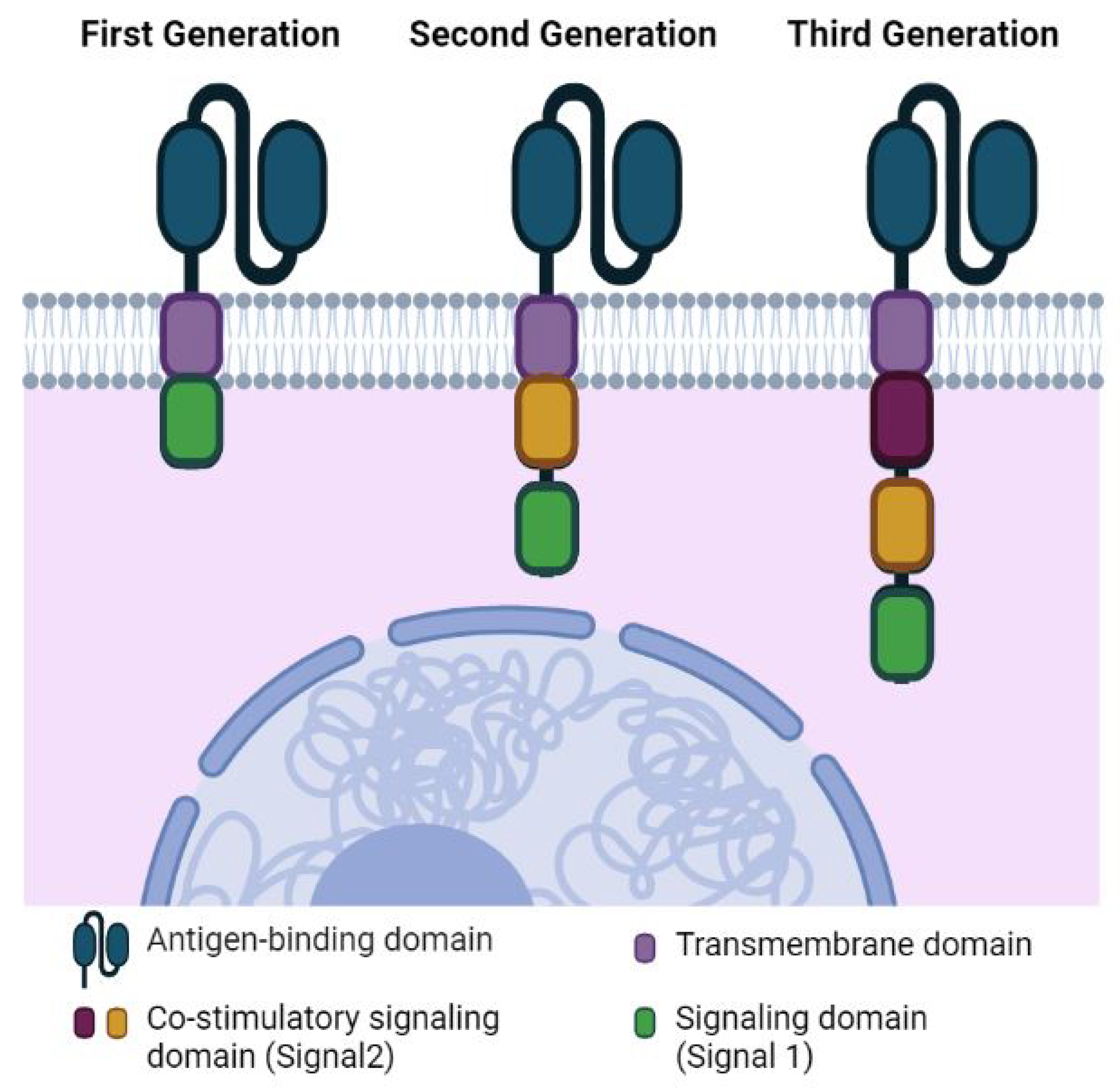 Immuno 03 00004 g001