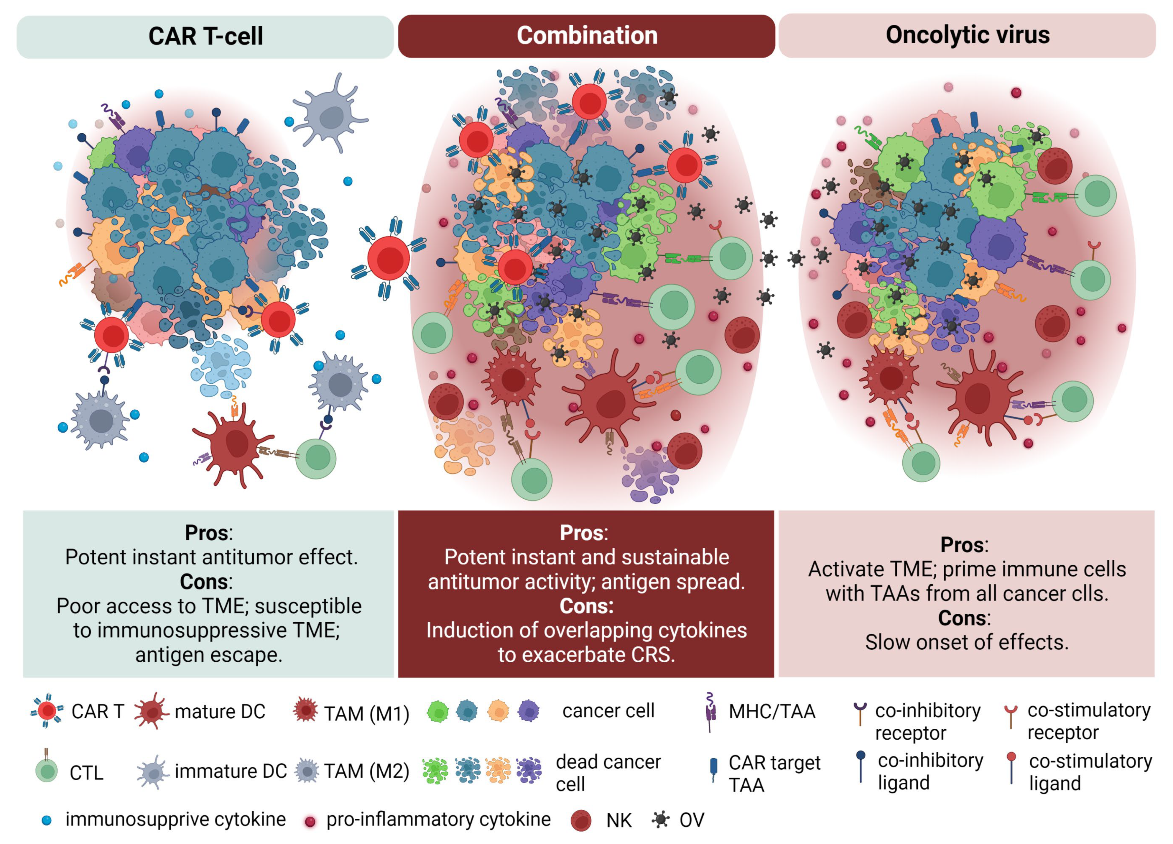 Immuno 03 00004 g002