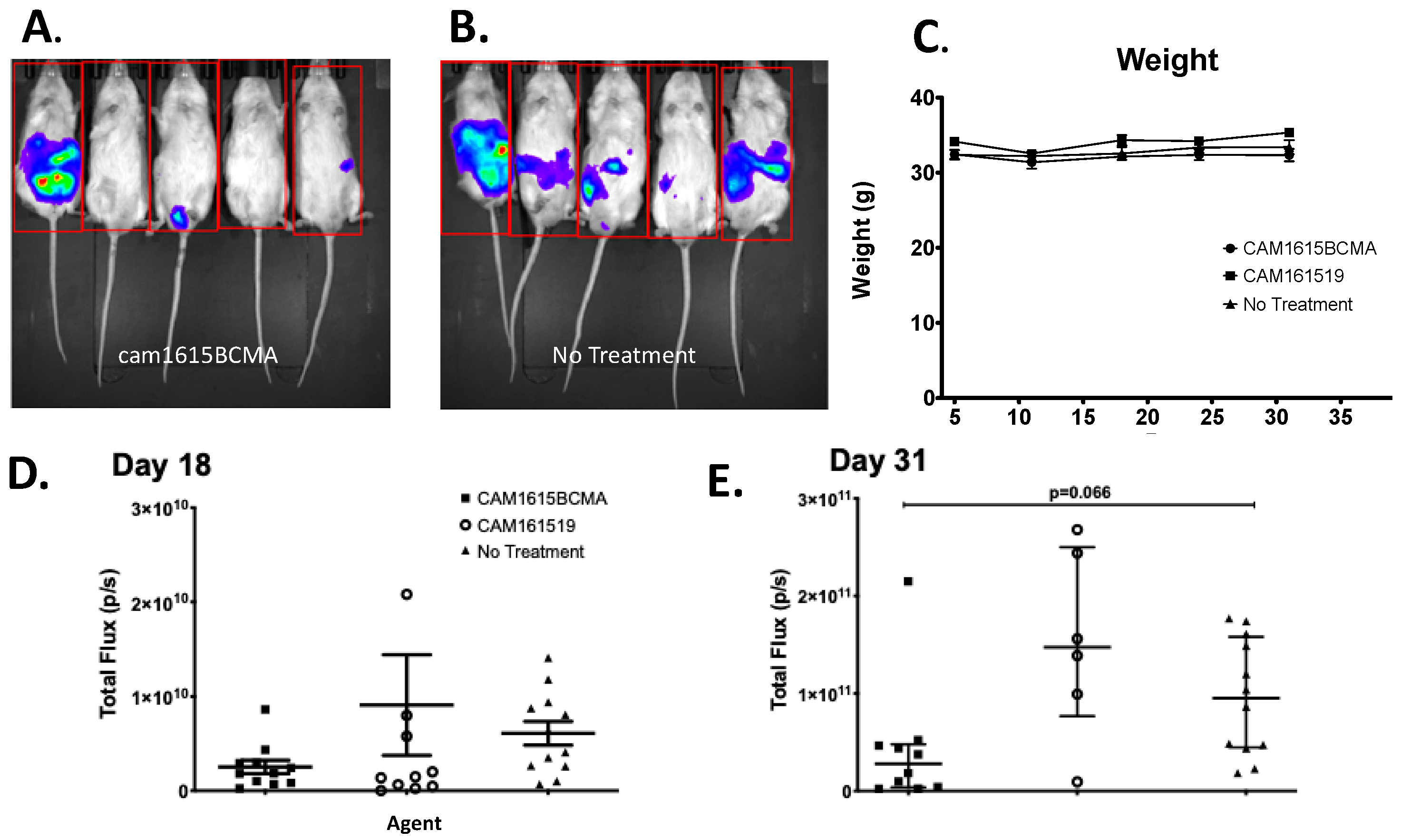 Immuno 03 00016 g005