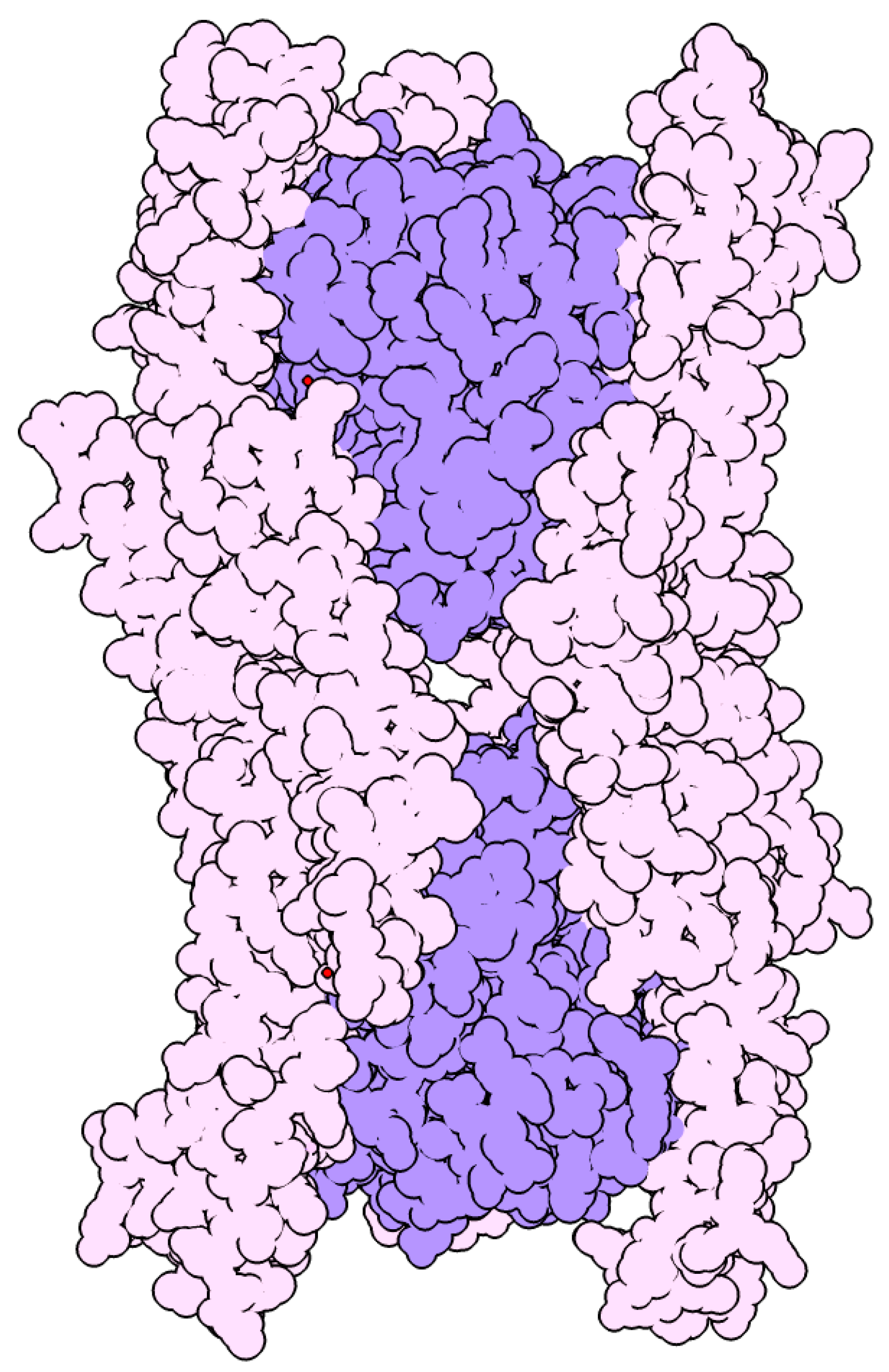 Immuno 04 00002 g002