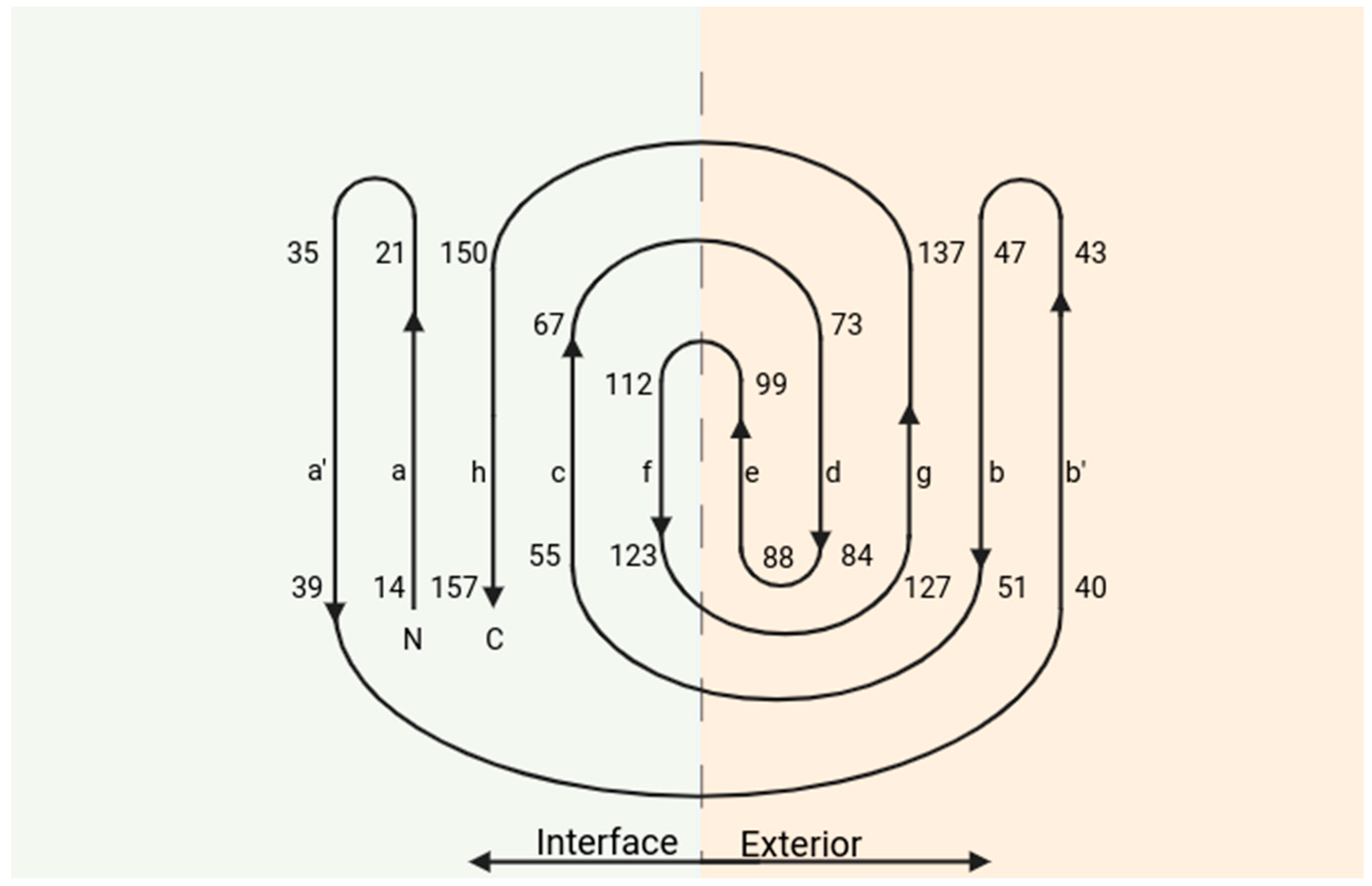 Immuno 04 00002 g004