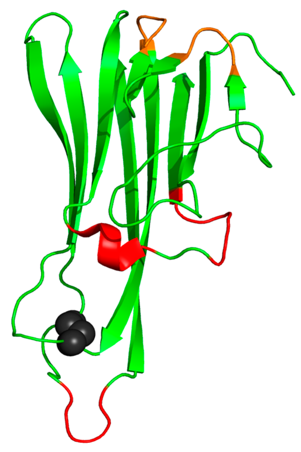 Immuno 04 00002 g005