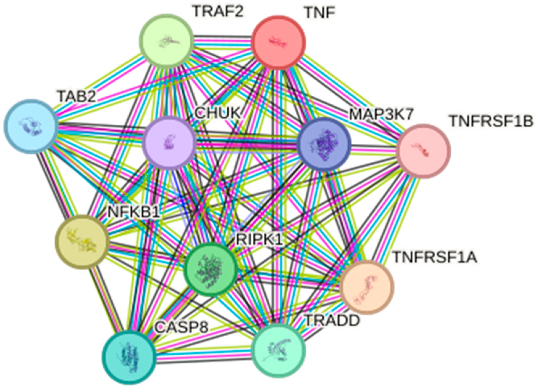 Immuno 04 00002 g006