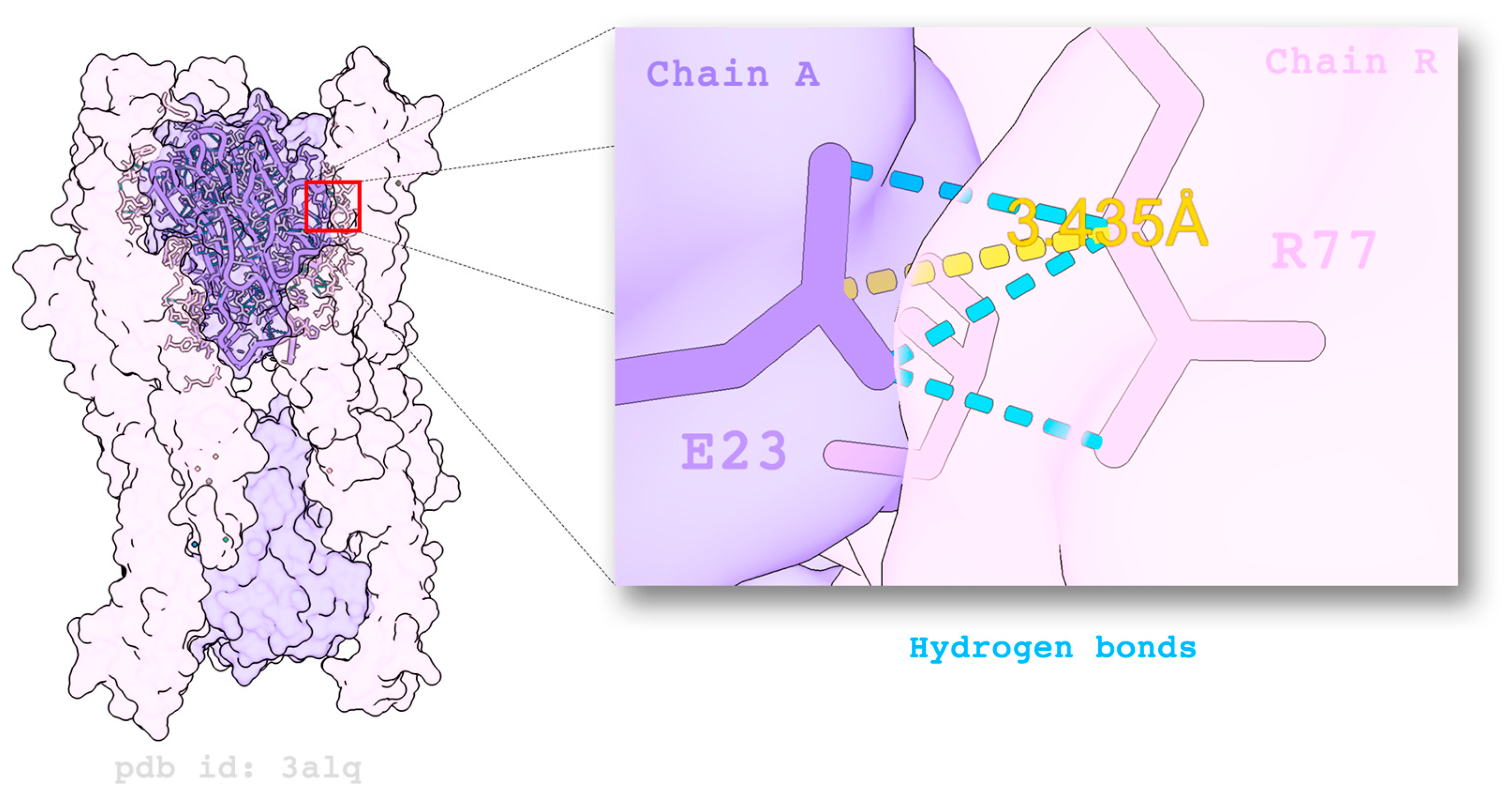 Immuno 04 00002 g007