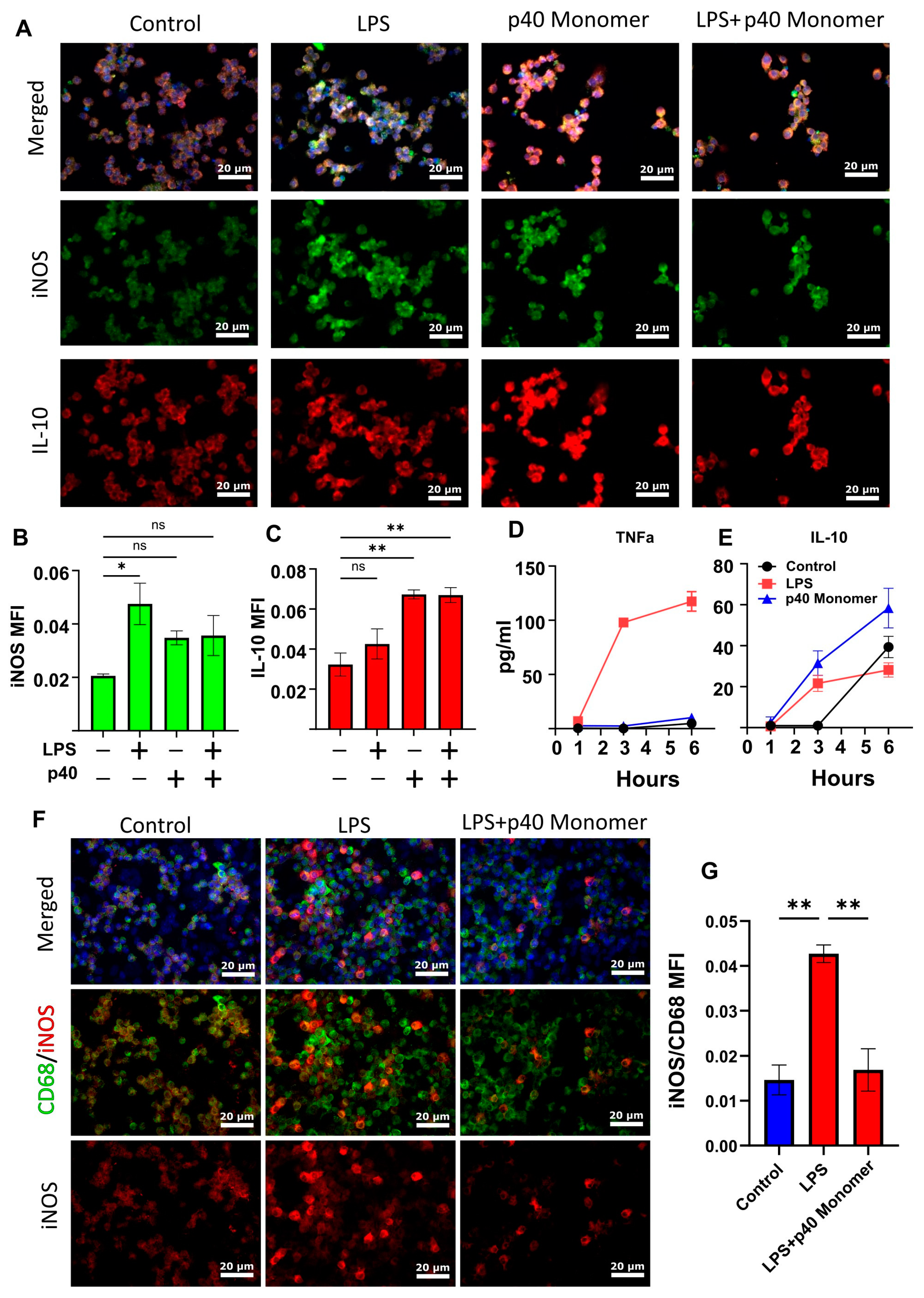 Immuno 04 00005 g003